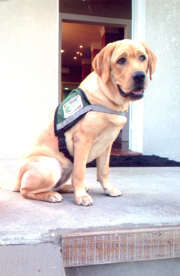 Gaya preparada para viajar. Foto: Acervo Pessoal