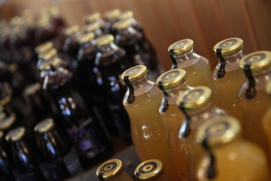 Produção da Vinícola Kranz