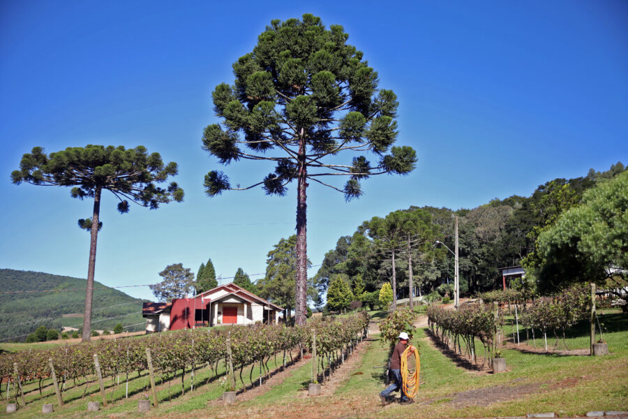 Sede da Vinícola Panceri, em Tangará, no Meio Oeste