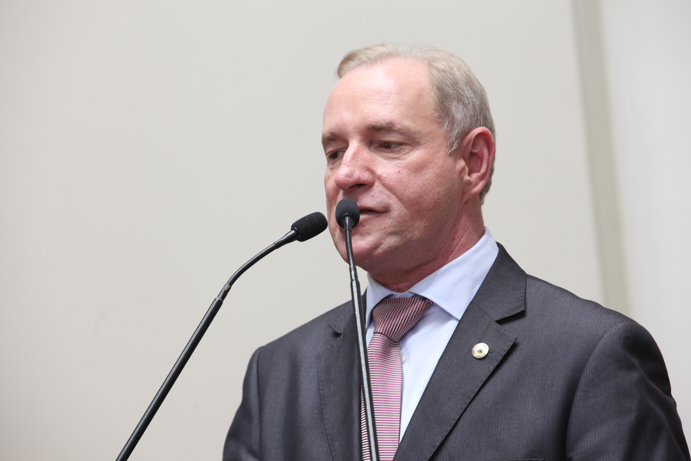Sessão Ordinária da Assembleia Legislativa do Estado de Santa Catarina. Deputado Aldo Schneider (PMDB) - Foto: Eduardo Guedes de Oliveira/Agência AL