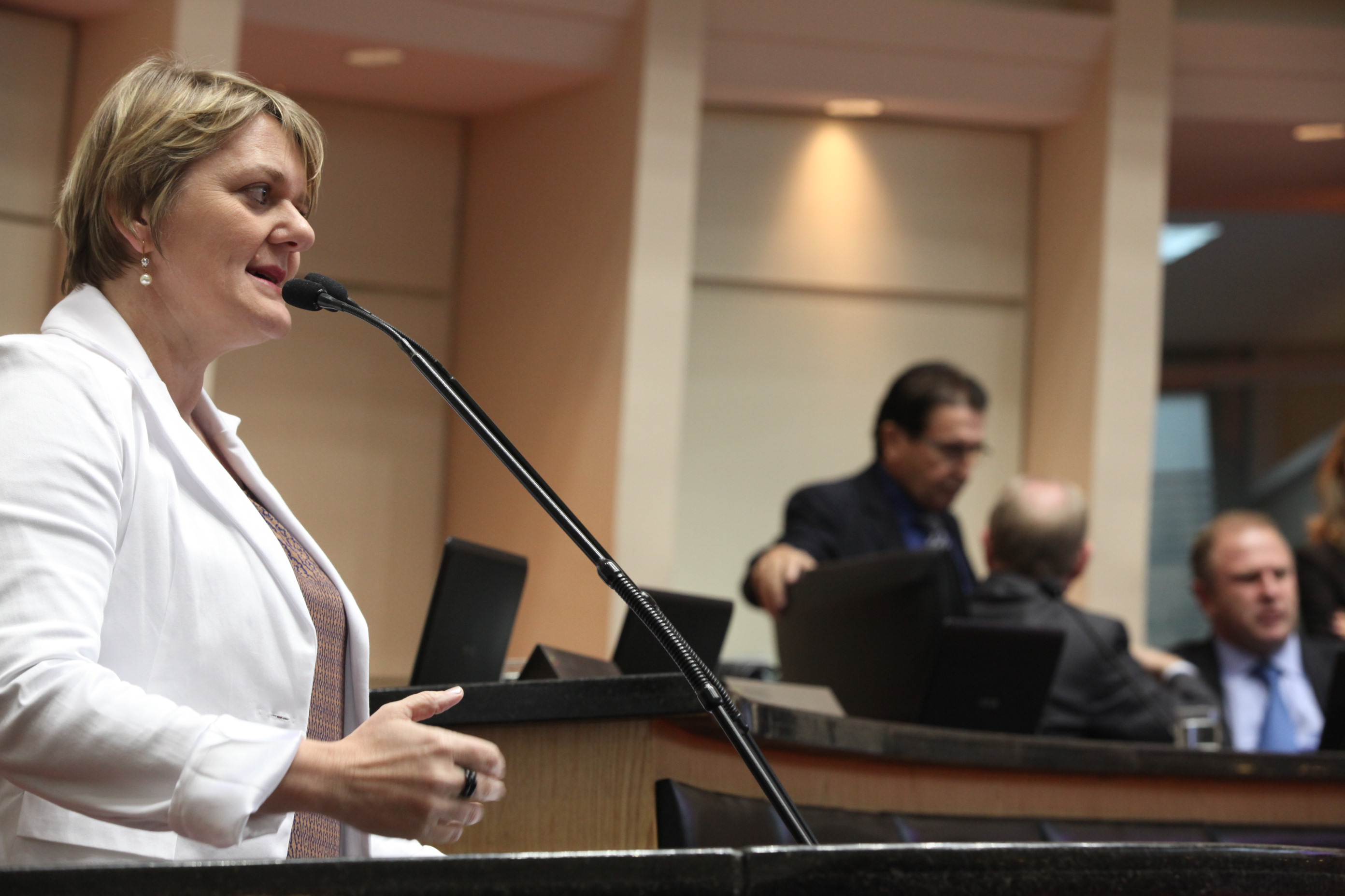 Sessão Ordinária da Assembleia Legislativa do Estado de Santa Catarina. Deputada Luciane Carminatti (PT)  - Foto: Eduardo Guedes de Oliveira/Agência AL
