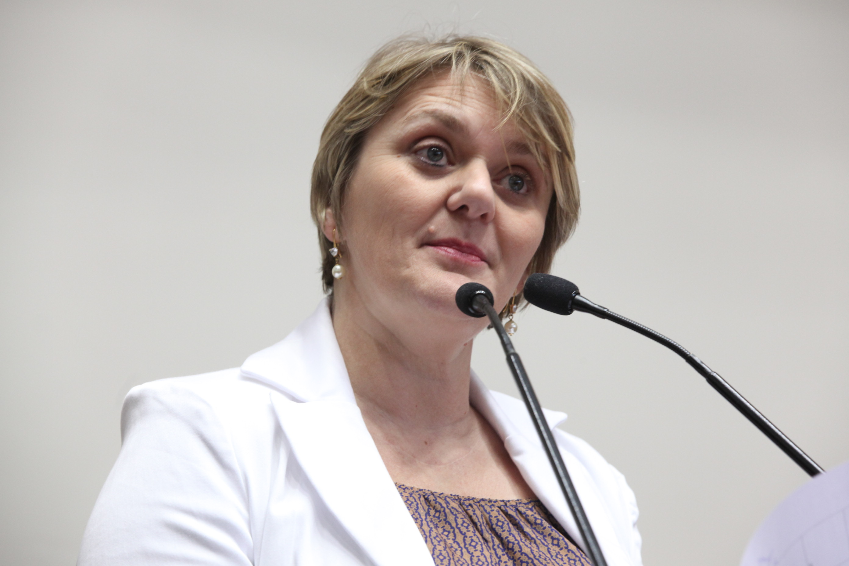 Sessão Ordinária da Assembleia Legislativa do Estado de Santa Catarina. Deputada Luciane Carminatti (PT)  - Foto: Eduardo Guedes de Oliveira/Agência AL