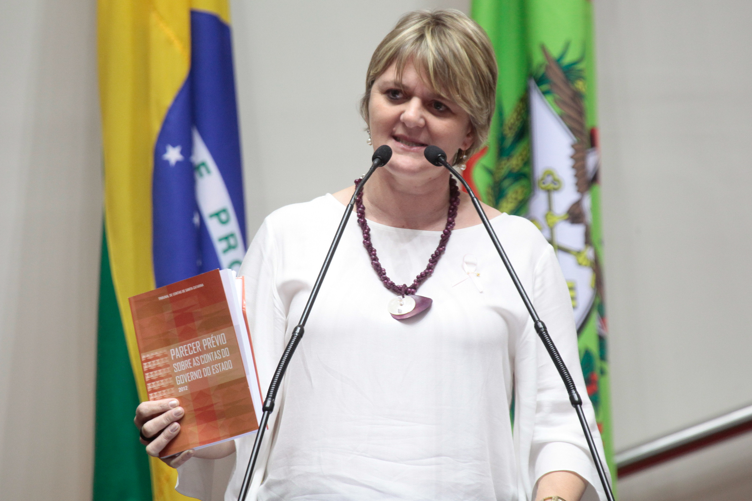 Sessão Ordinária da Assembleia Legislativa do Estado de Santa Catarina. Deputada Luciane Carminatti (PT)  - Fotos: Miriam Zomer/Agência AL