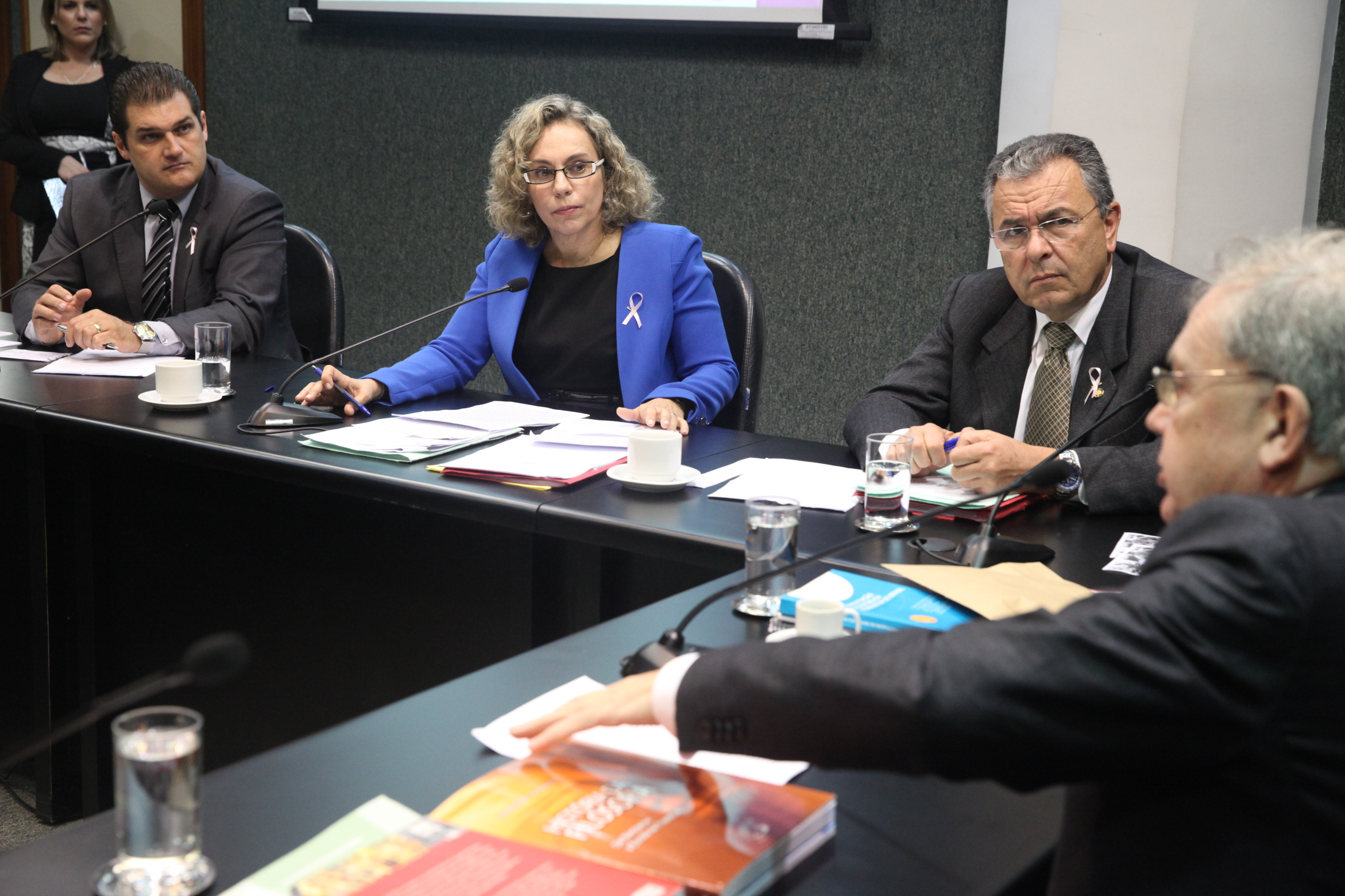 Reunião da Comissão de Saúde. Foto: Fábio Queiroz / Agência AL