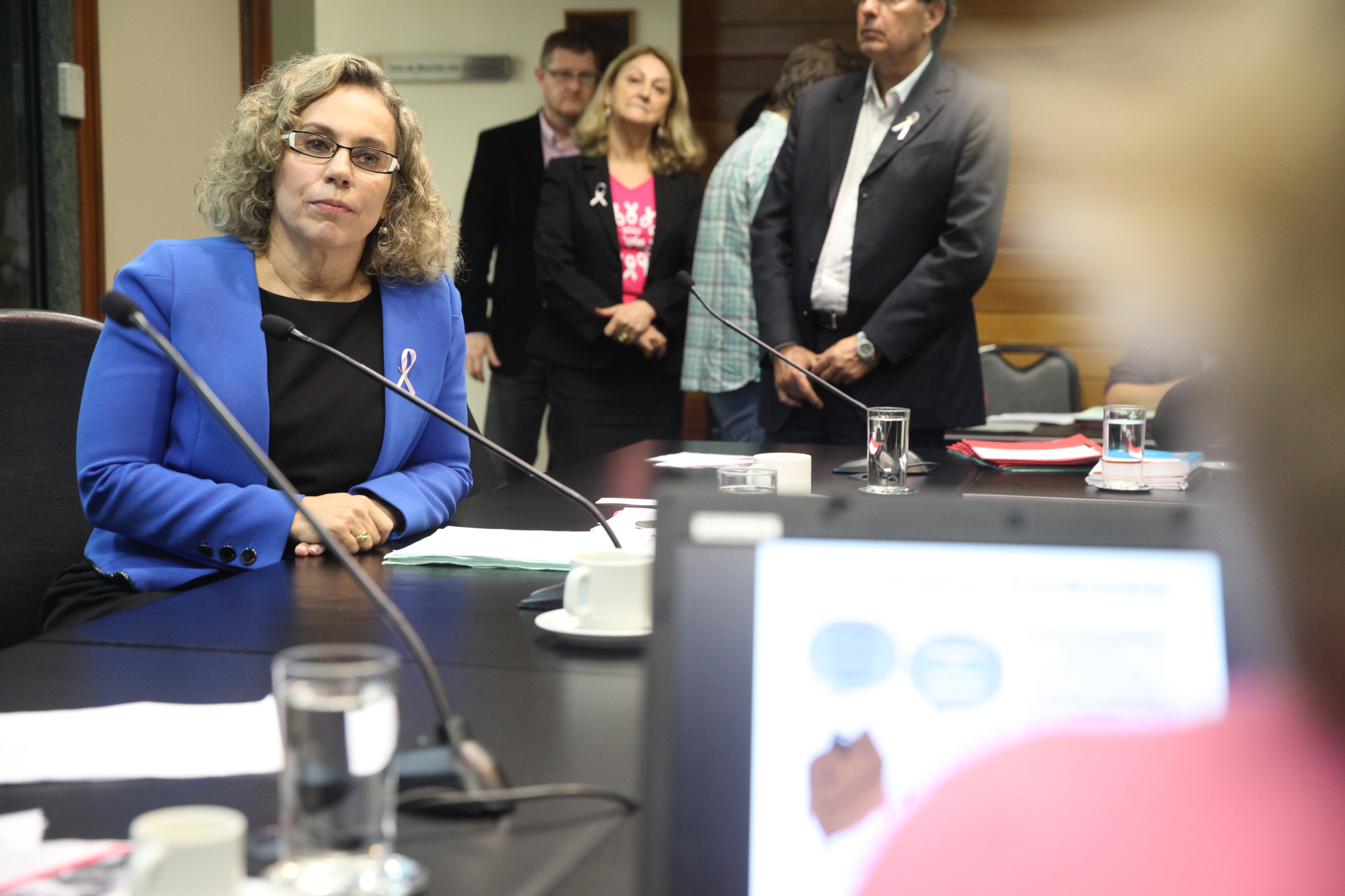 Reunião da Comissão de Saúde. Foto: Fábio Queiroz / Agência AL