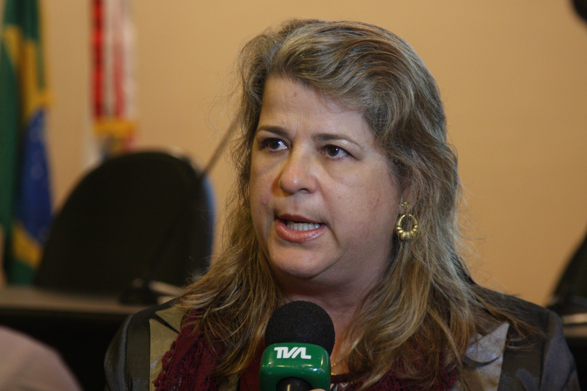 Seminário Estadual Práticas Positivas Criança e Adolescente. Profa. Dra. Josiane Rose Petry Veronese. Foto: Yuri Santos / Agência AL