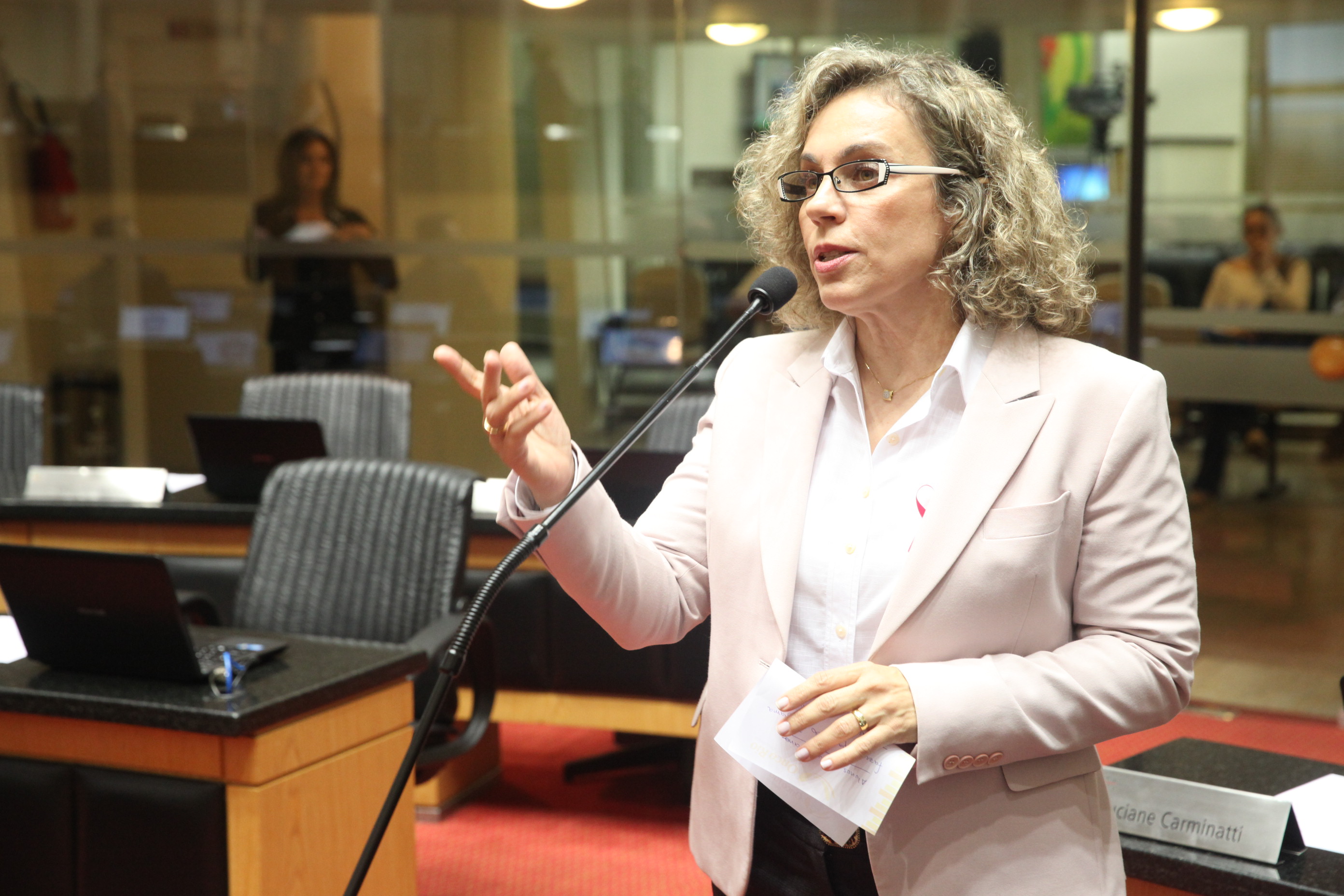 Sessão Ordinária. Foto: Fábio Queiroz / Agência AL