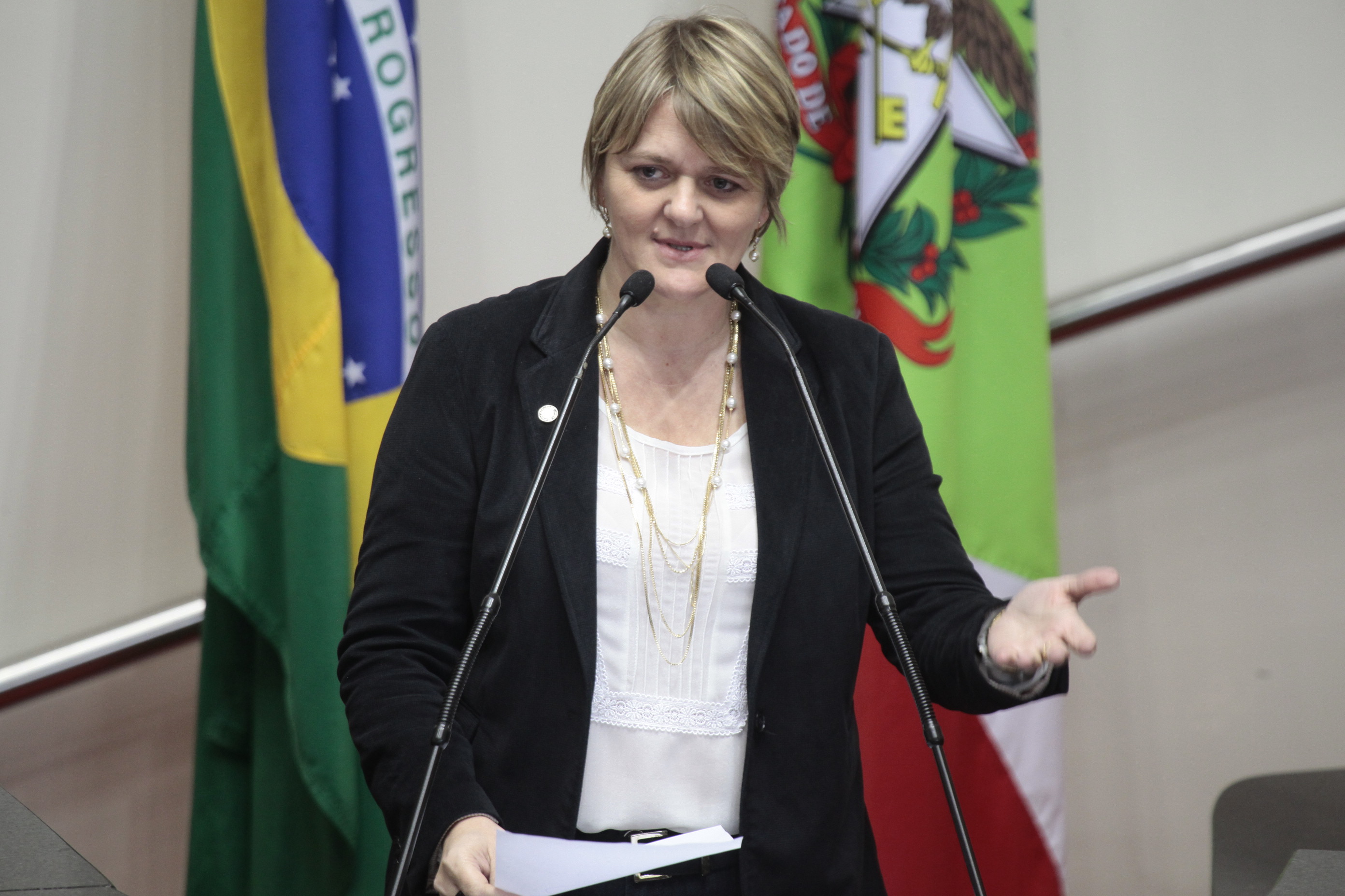 Sessão Ordinária da Assembleia Legislativa do Estado de Santa Catarina. Deputada Luciane Carminatti (PT)  - Foto: Miriam Zomer/Agência AL