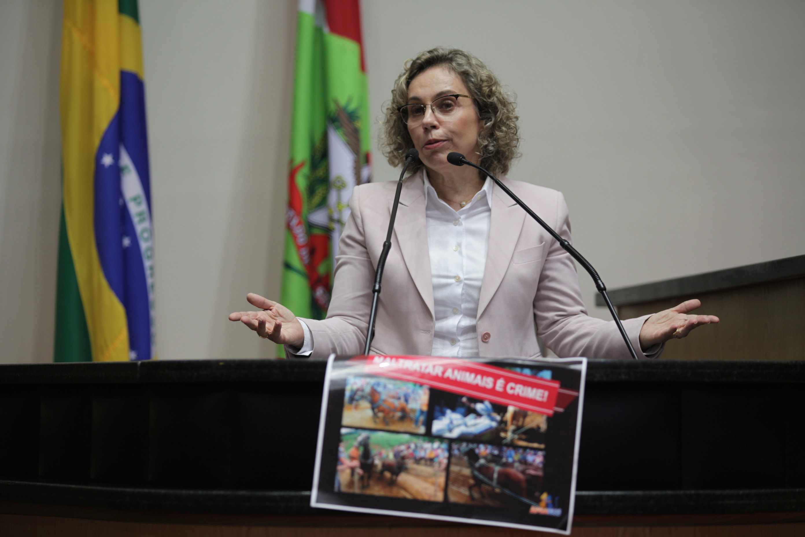 Sessão Ordinária da Assembleia Legislativa do Estado de Santa Catarina. Deputada Ana Paula Lima (PT)  - Foto: Solon Soares/Agência AL