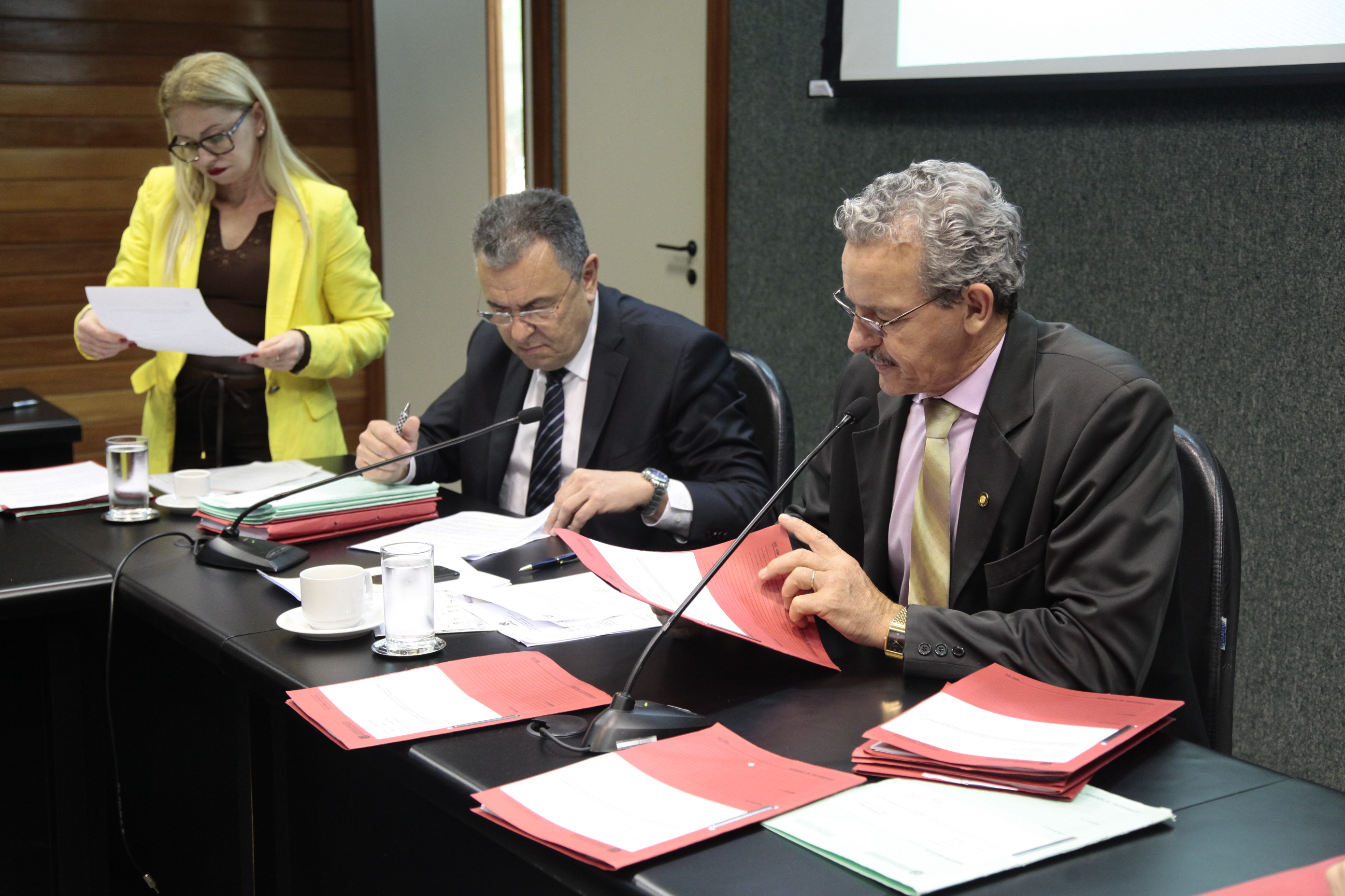 Reunião Ordinária da Comissão de Direitos Humanos. Foto: Miriam Zomer/Agência AL