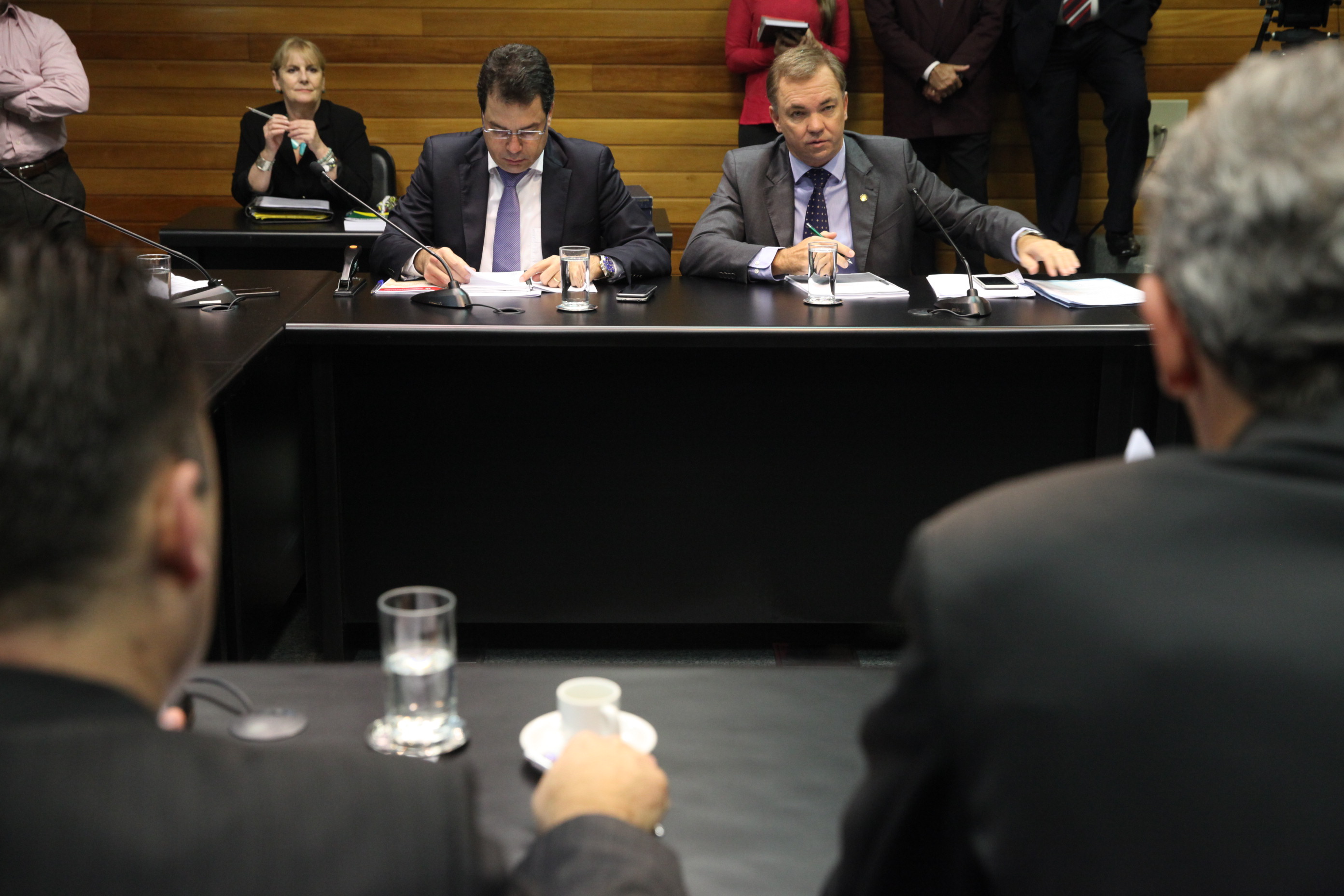 Reunião da Comissão de Finanças e Tributação. Foto: Fábio Queiroz / Agência AL