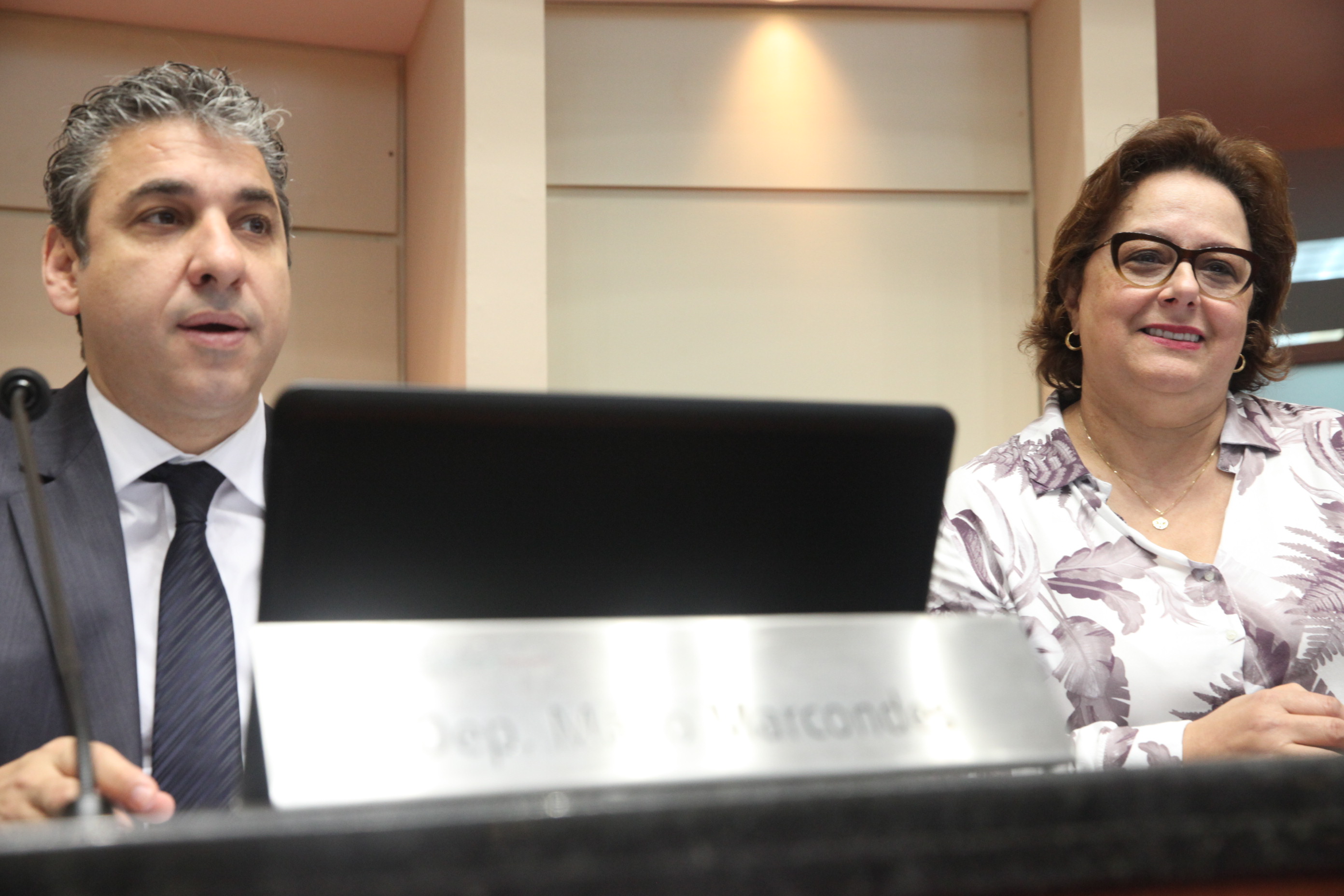 Sessão Ordinária. Foto: Fábio Queiroz / Agência AL