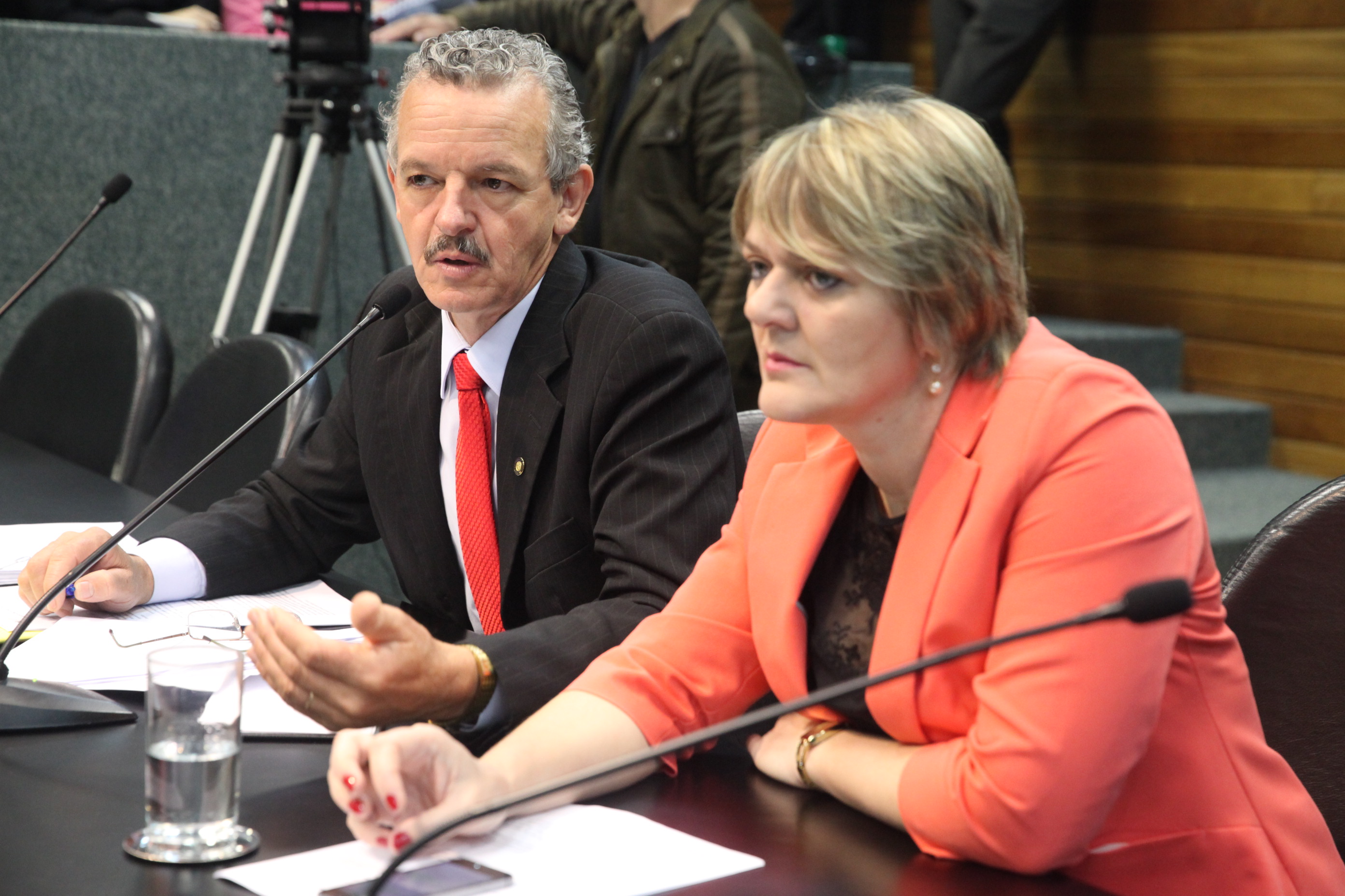 Comissão de Finanças e Tributação. Foto: Fábio Queiroz / Agência AL