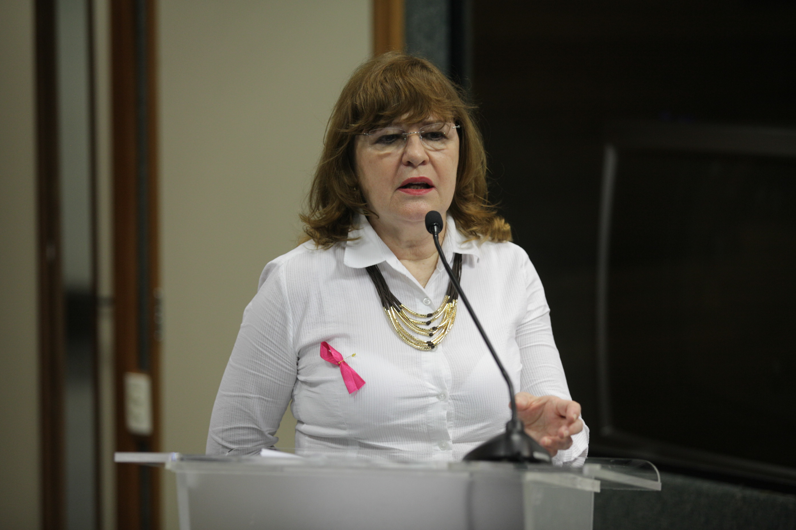 Audiência Pública - Apresentação da prestação de contas de 2014 da Secretaria de Estado de Saúde. Foto: Solon Soares / Agência AL