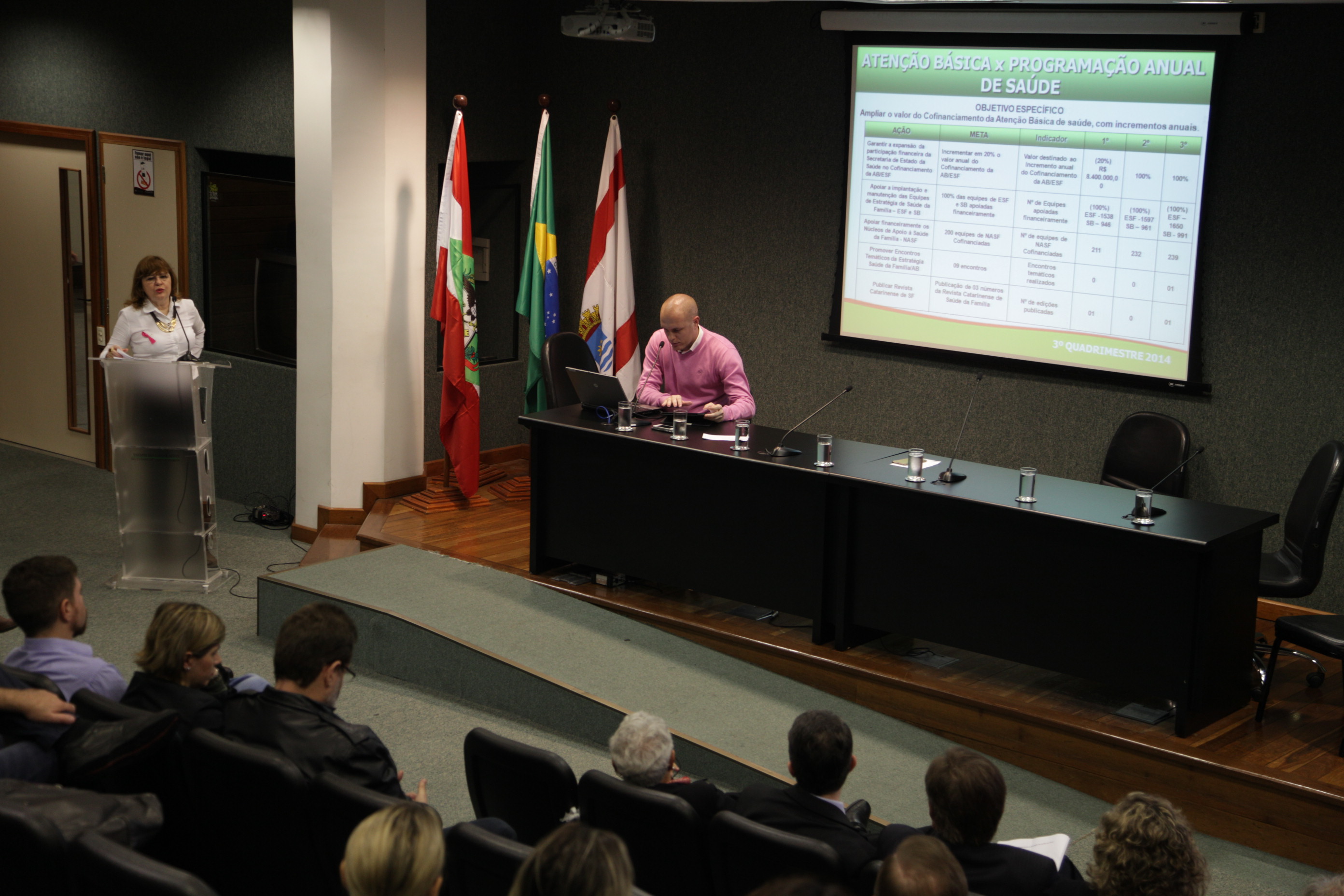 Audiência Pública - Apresentação da prestação de contas de 2014 da Secretaria de Estado de Saúde. Foto: Solon Soares / Agência AL