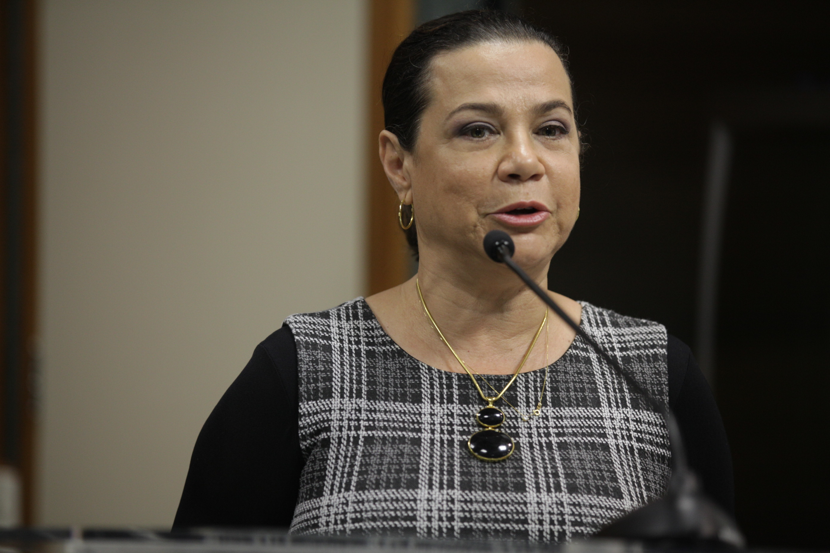 Audiência Pública - Apresentação da prestação de contas de 2014 da Secretaria de Estado de Saúde. Foto: Solon Soares / Agência AL