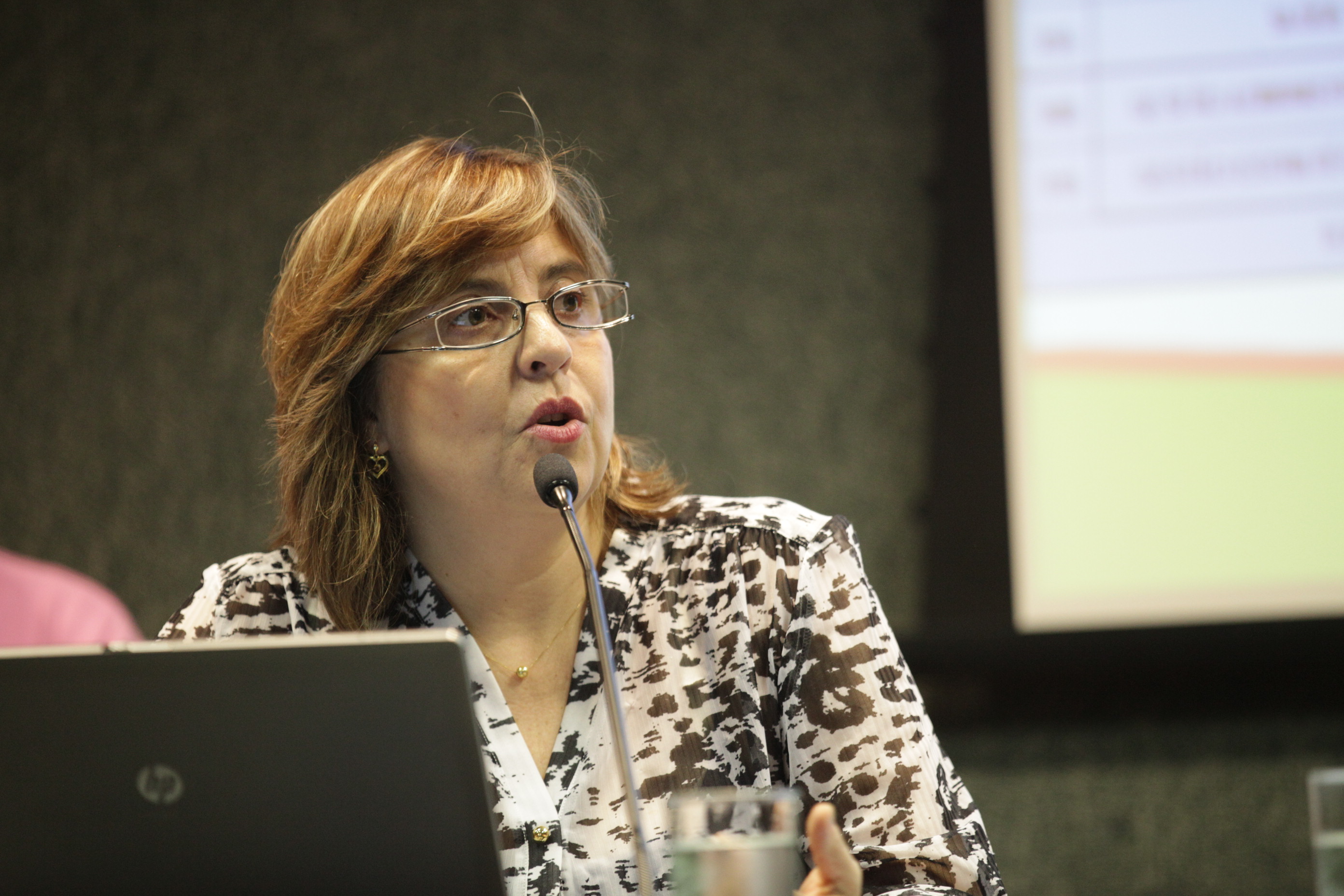 Audiência Pública - Apresentação da prestação de contas de 2014 da Secretaria de Estado de Saúde. Foto: Solon Soares / Agência AL