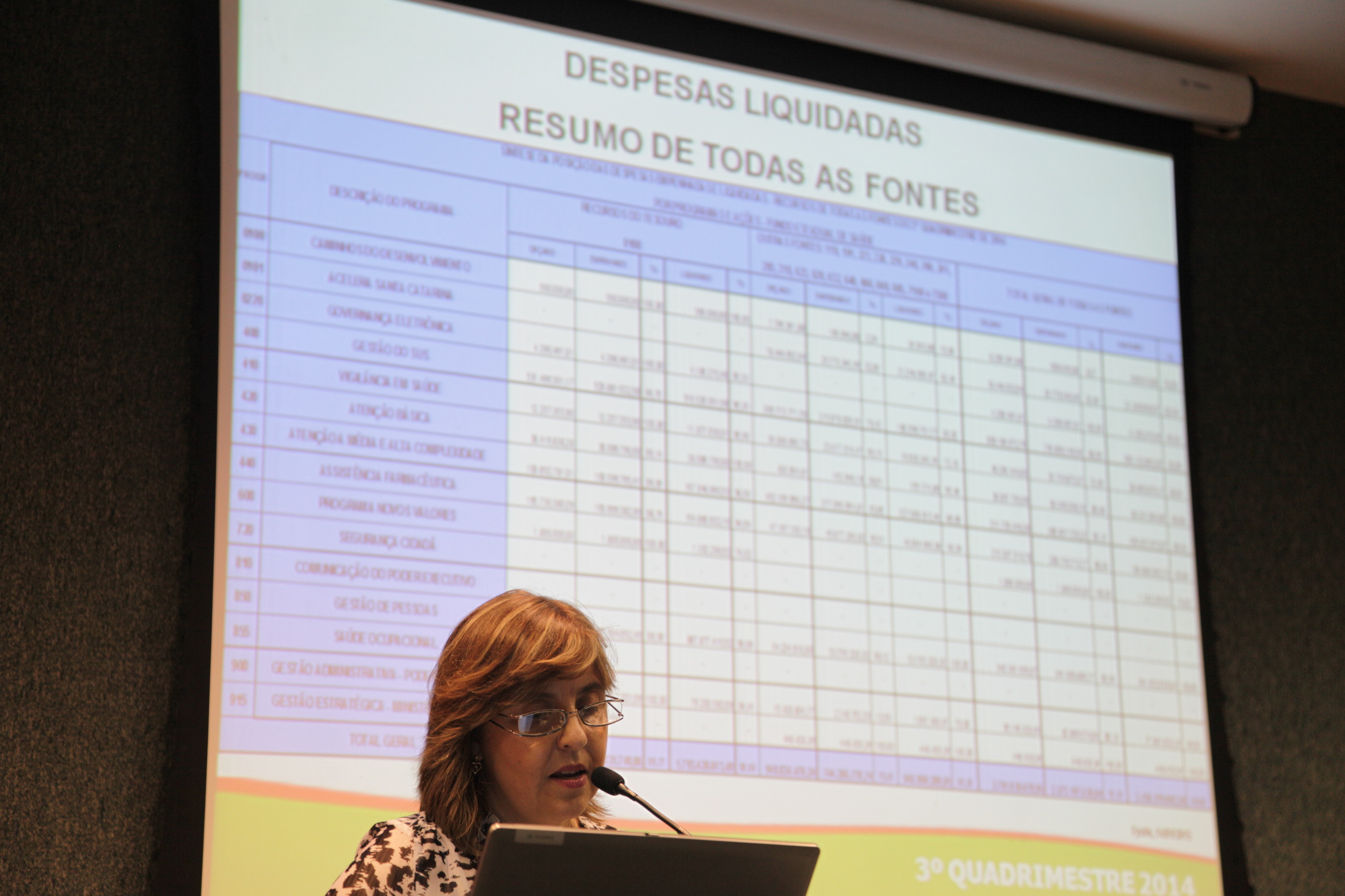 Audiência Pública - Apresentação da prestação de contas de 2014 da Secretaria de Estado de Saúde. Foto: Solon Soares / Agência AL