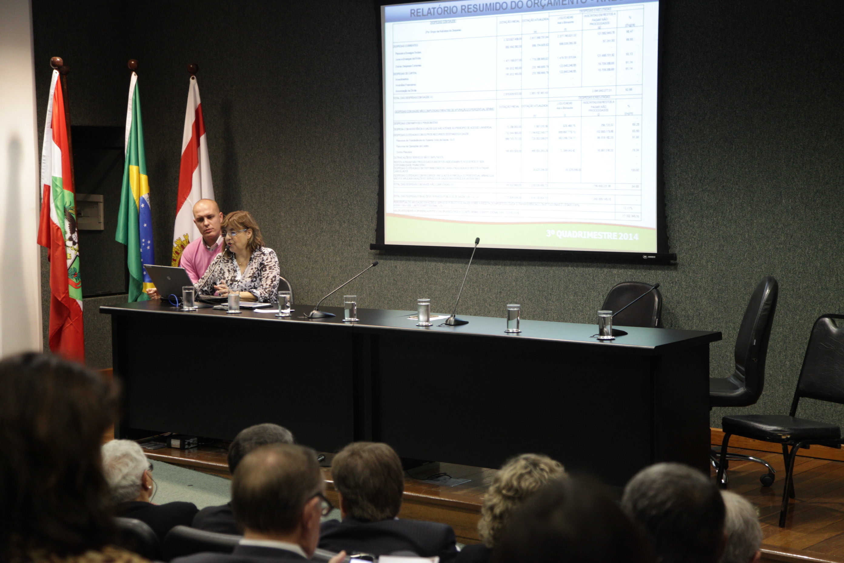 Audiência Pública - Apresentação da prestação de contas de 2014 da Secretaria de Estado de Saúde. Foto: Solon Soares / Agência AL