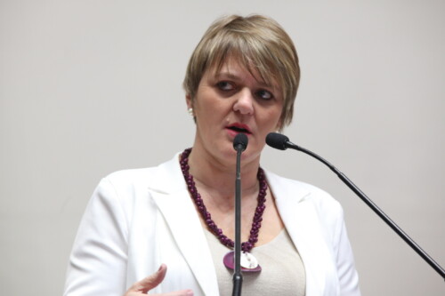 “Não vamos descansar enquanto uma única mulher for vítima da violência”, diz deputada Luciane