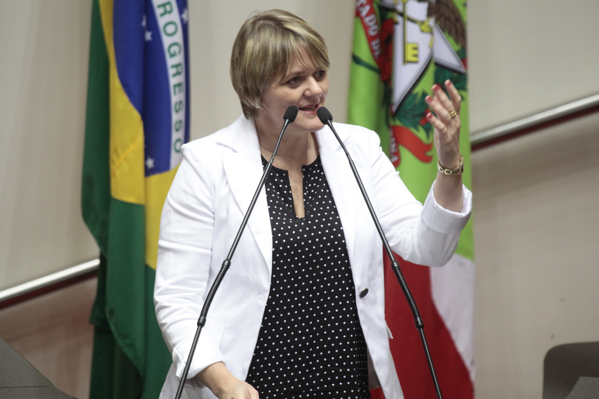 Deputada Luciane Carminatti