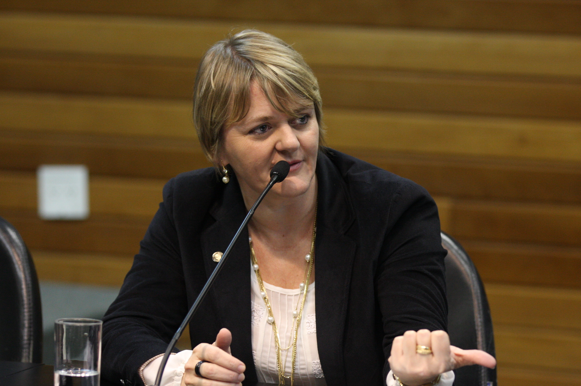 Comissão de Constituição e Justiça. Deputada: Luciane Carminatti (PT). Foto: Yuri Santos / Agência AL