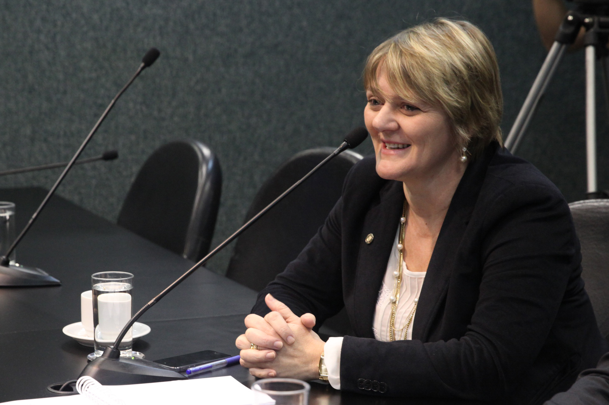 Reunião da Comissão de Constituição e Justiça. Foto: Fábio Queiroz / Agência AL