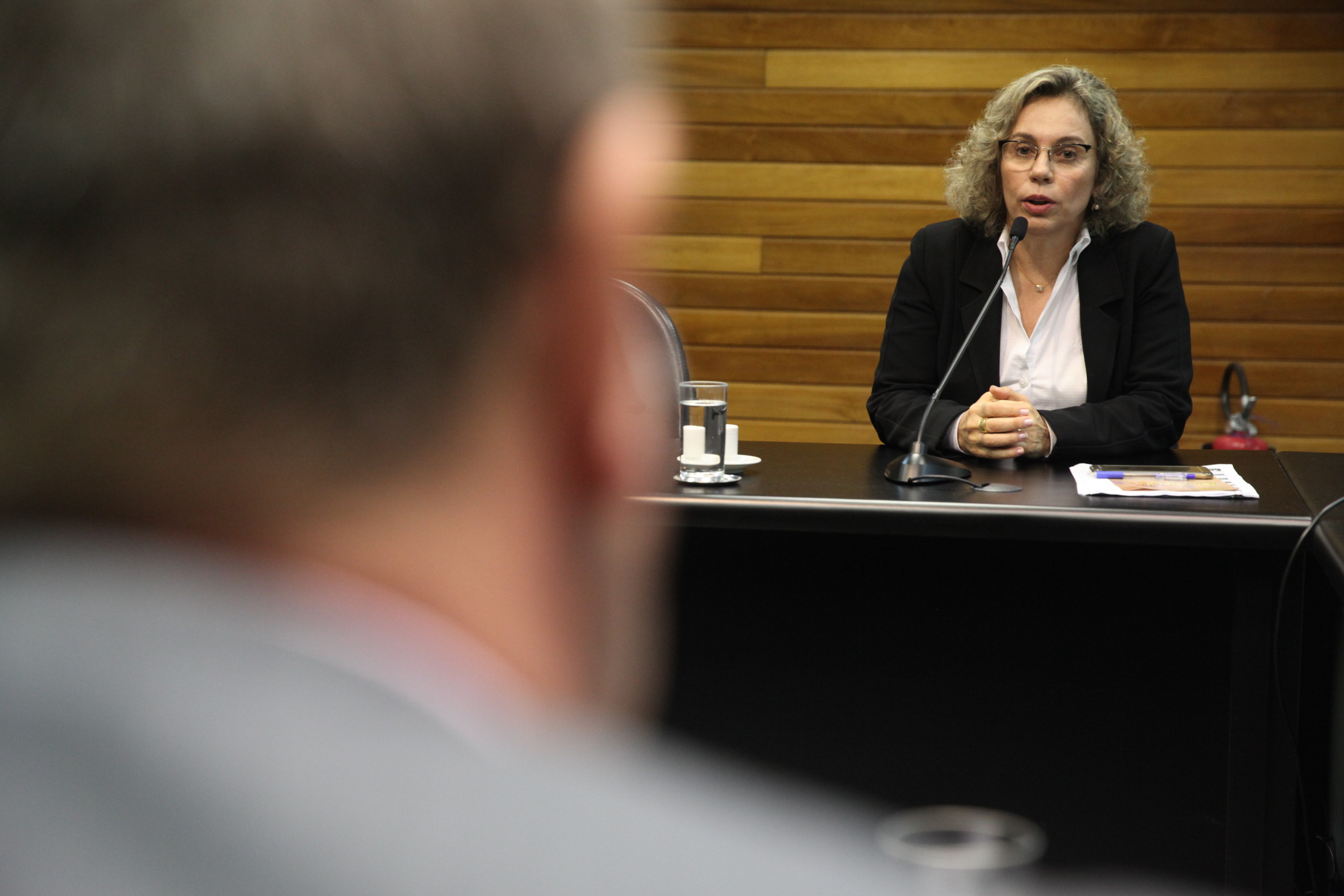 Comissão de Segurança Pública. Foto: Fábio Queiroz / Agência AL