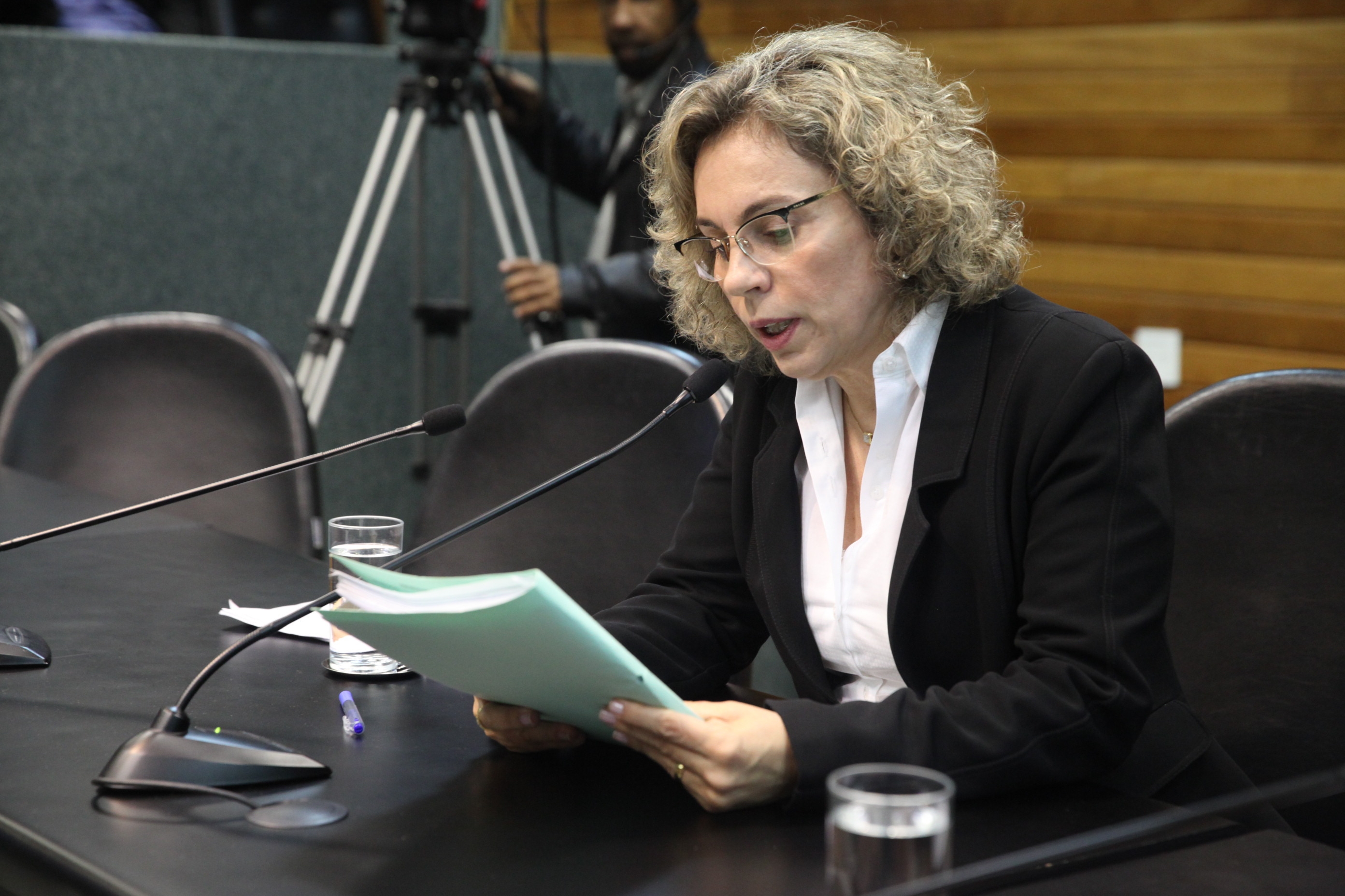 Comissão de Segurança Pública. Deputada Ana Paula Lima (PT). Foto: Fábio Queiroz / Agência AL