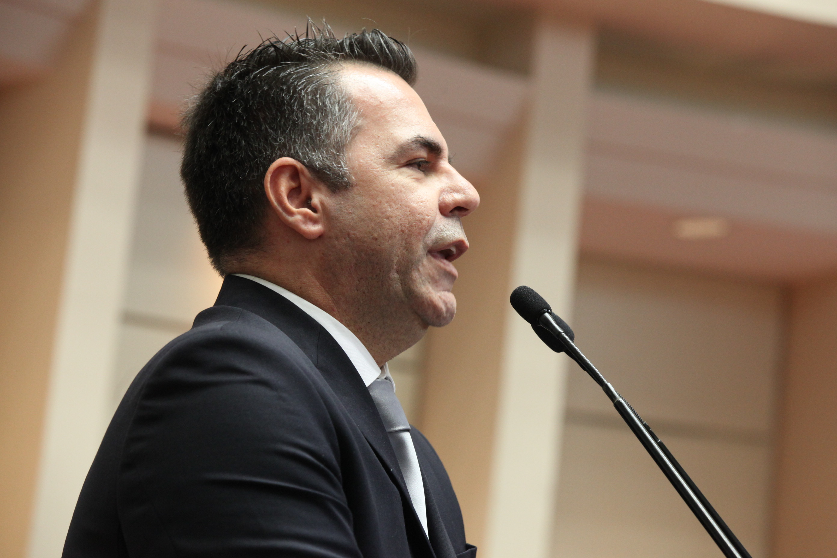 Sessão Ordinária da Assembleia Legislativa do Estado de Santa Catarina. Deputado Luiz Fernando Vampiro (PMDB)