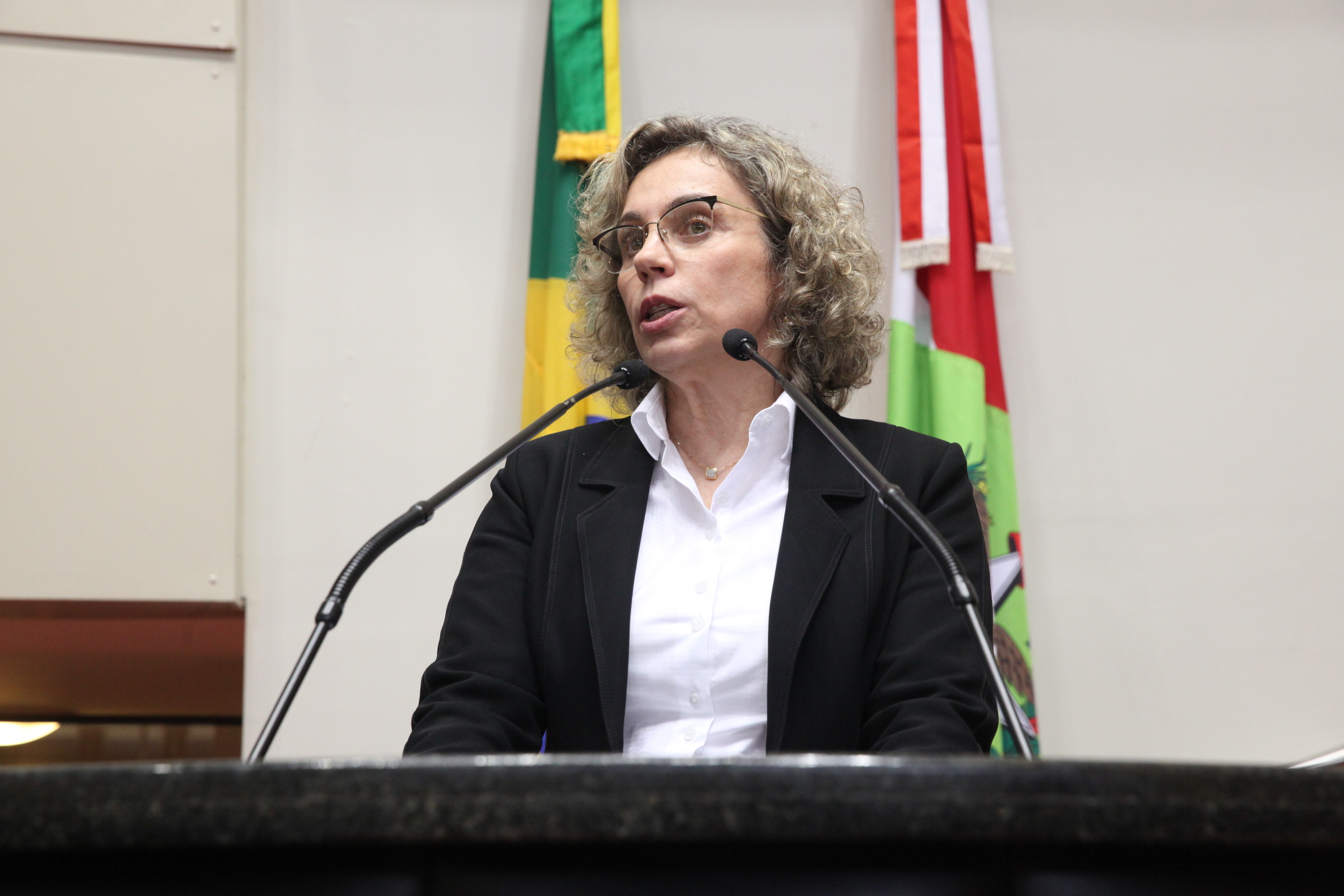 Sessão Ordinária da Assembleia Legislativa do Estado de Santa Catari