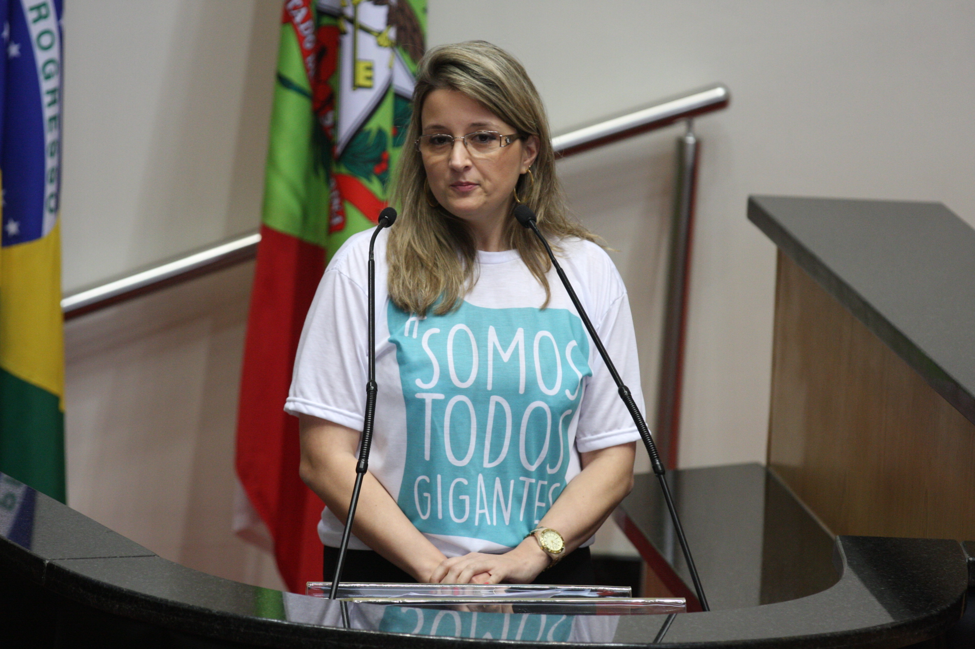 Sessão Plenária. Foto: Yuri Santos / Agência AL