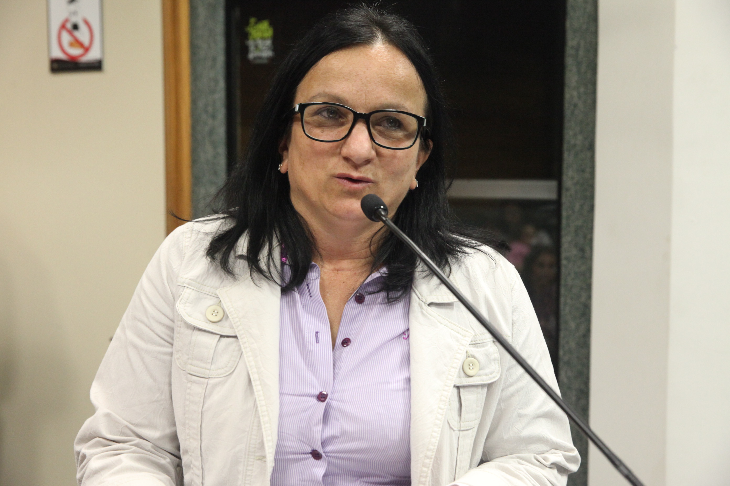 Zelia Ignaczuk Zeitamer. Reunião da Comissão de Saúde. Debate Sobre as Doulas. Foto: Fábio Queiroz / Agência AL