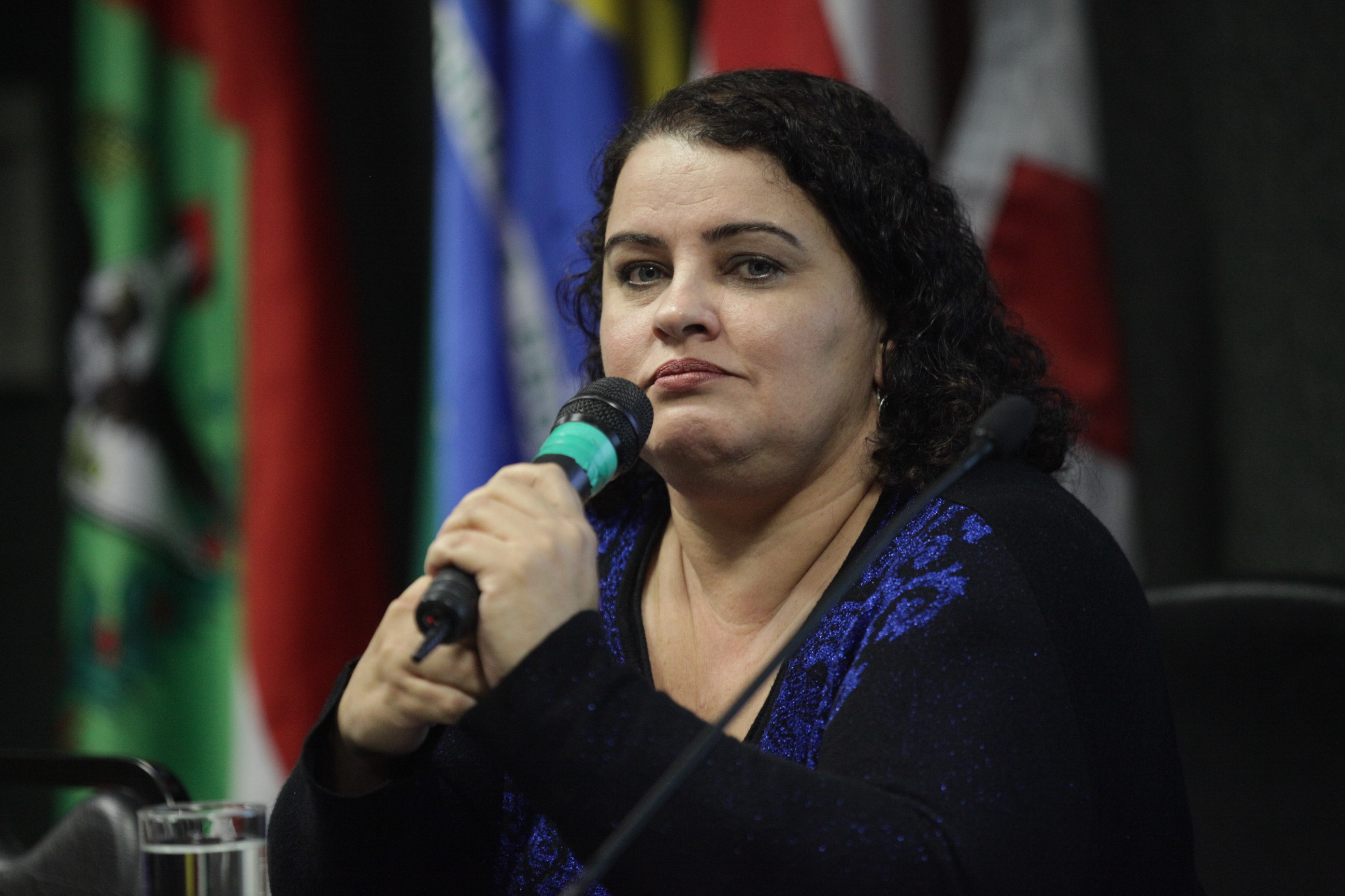 Encontro de Cuidadores Terapêuticos - Palestrante Hebe Régis