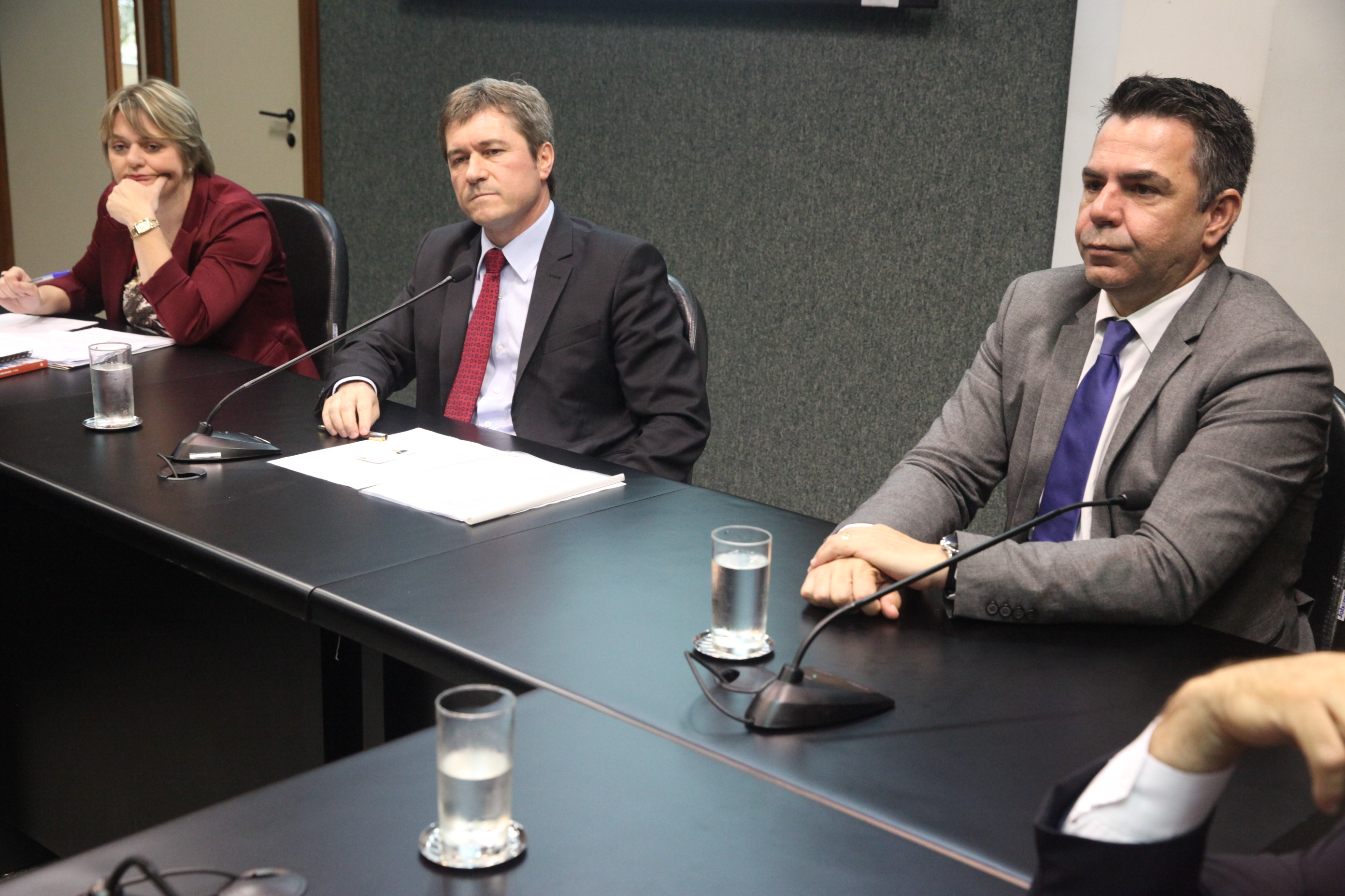 Comissão de Defesa dos Direitos da Pessoa com Defiência. Foto: Fábio Queiroz / Agência AL