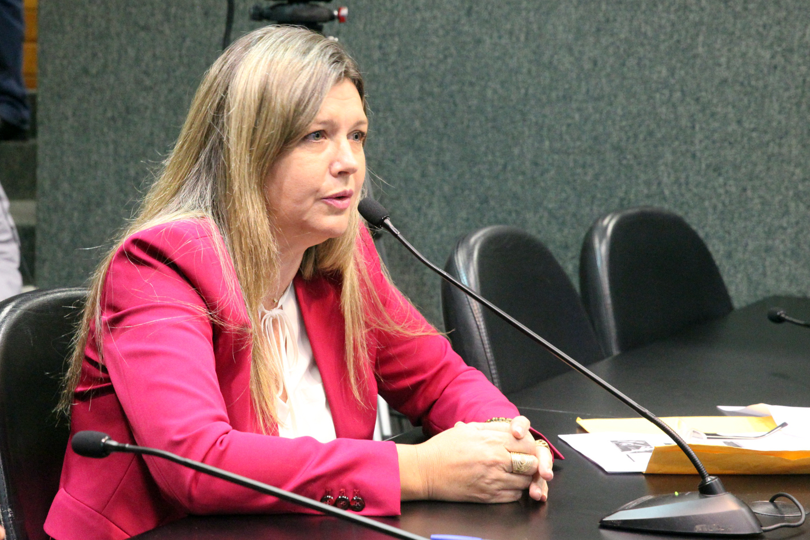 Rose Bartucheski. Comissão de Defesa dos Direitos da Pessoa com Defiência. Foto: Jonas Lemos / Agência AL