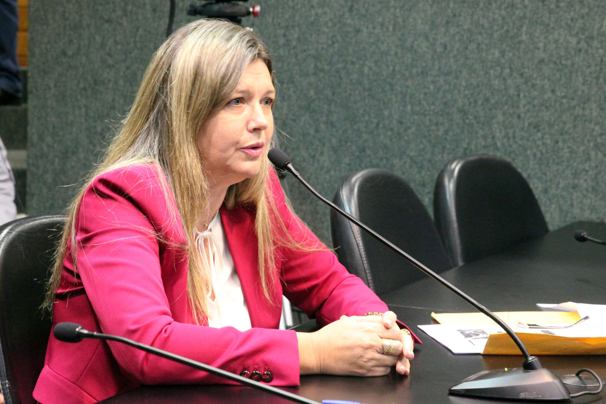 Rose Bartucheski, presidente da Fundação Catarinense de Educação Especial (FCEE)