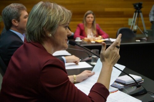 “Estado perde a função quando é tímido ao cuidar da educação especial”, diz Luciane Carminatti