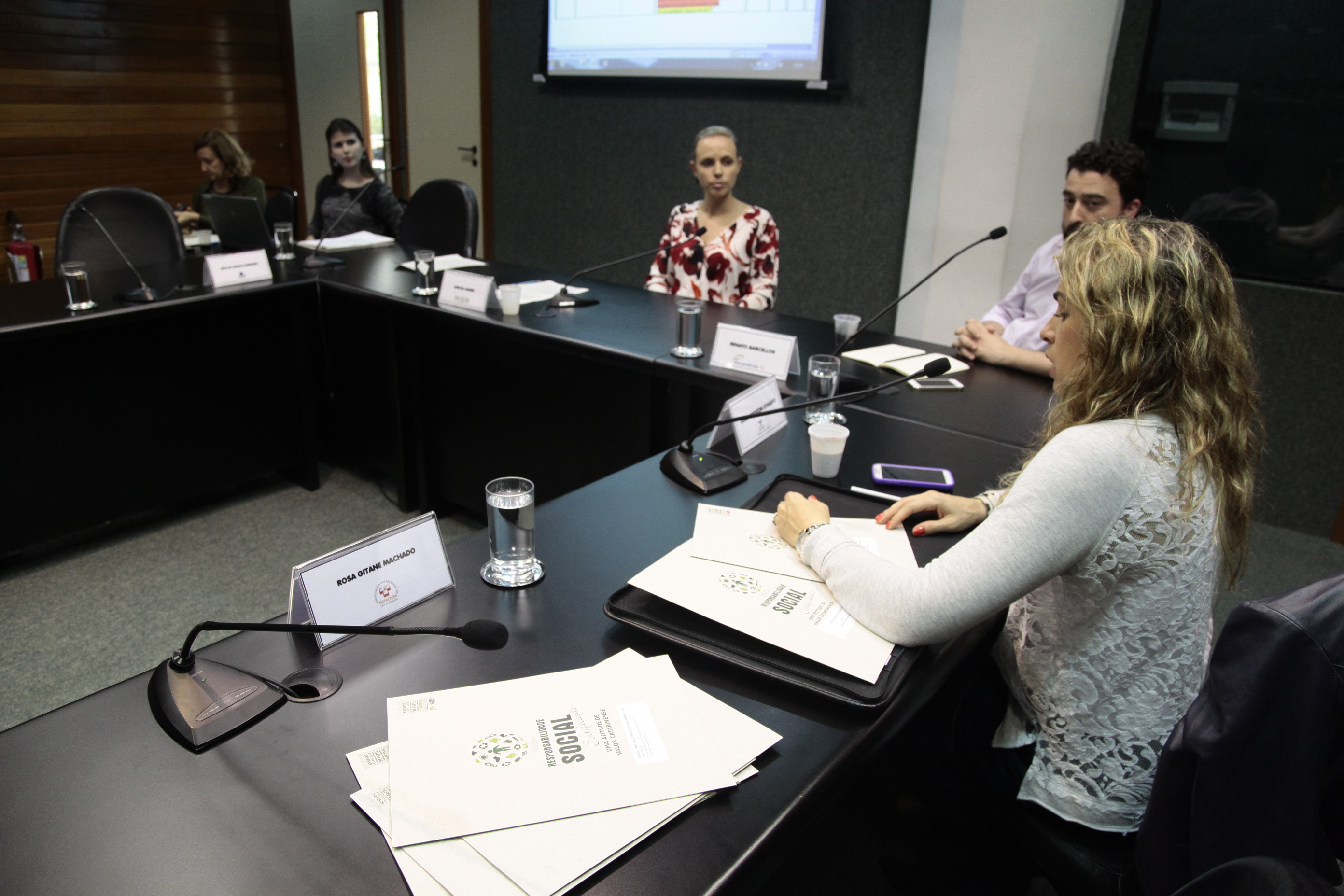 Reunião da Comissão Mista de Responsabilidade Social. Foto: Miriam Zomer/Agência AL