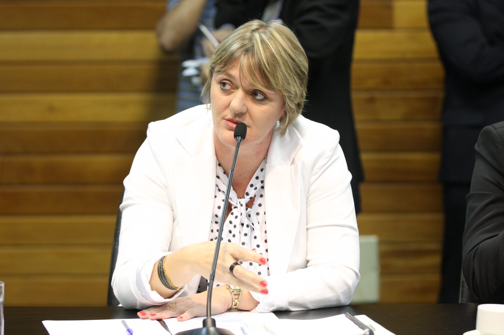 Comissão de Constituição e Justiça. Deputada Luciane Carminatti (PT). Foto: Yuri Santos / Agência AL