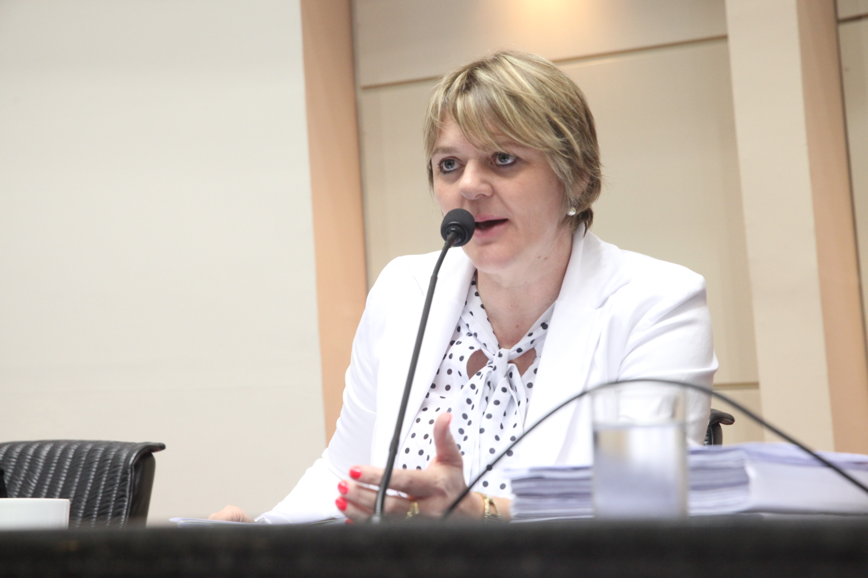 Reunião da Comissão de Educação. Foto: Fábio Queiroz / Agência AL