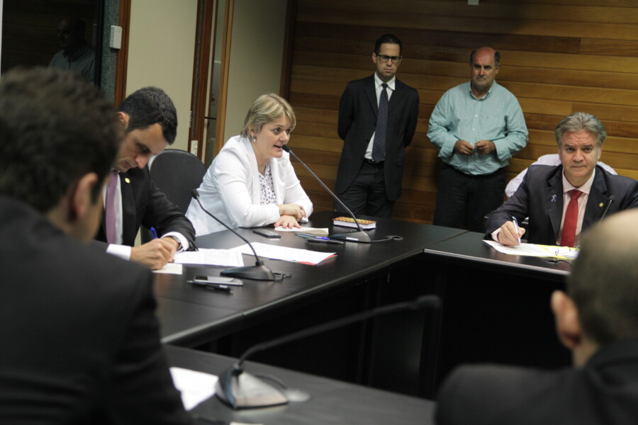 Deputada Luciane Carminatti na Comissão de Transportes
