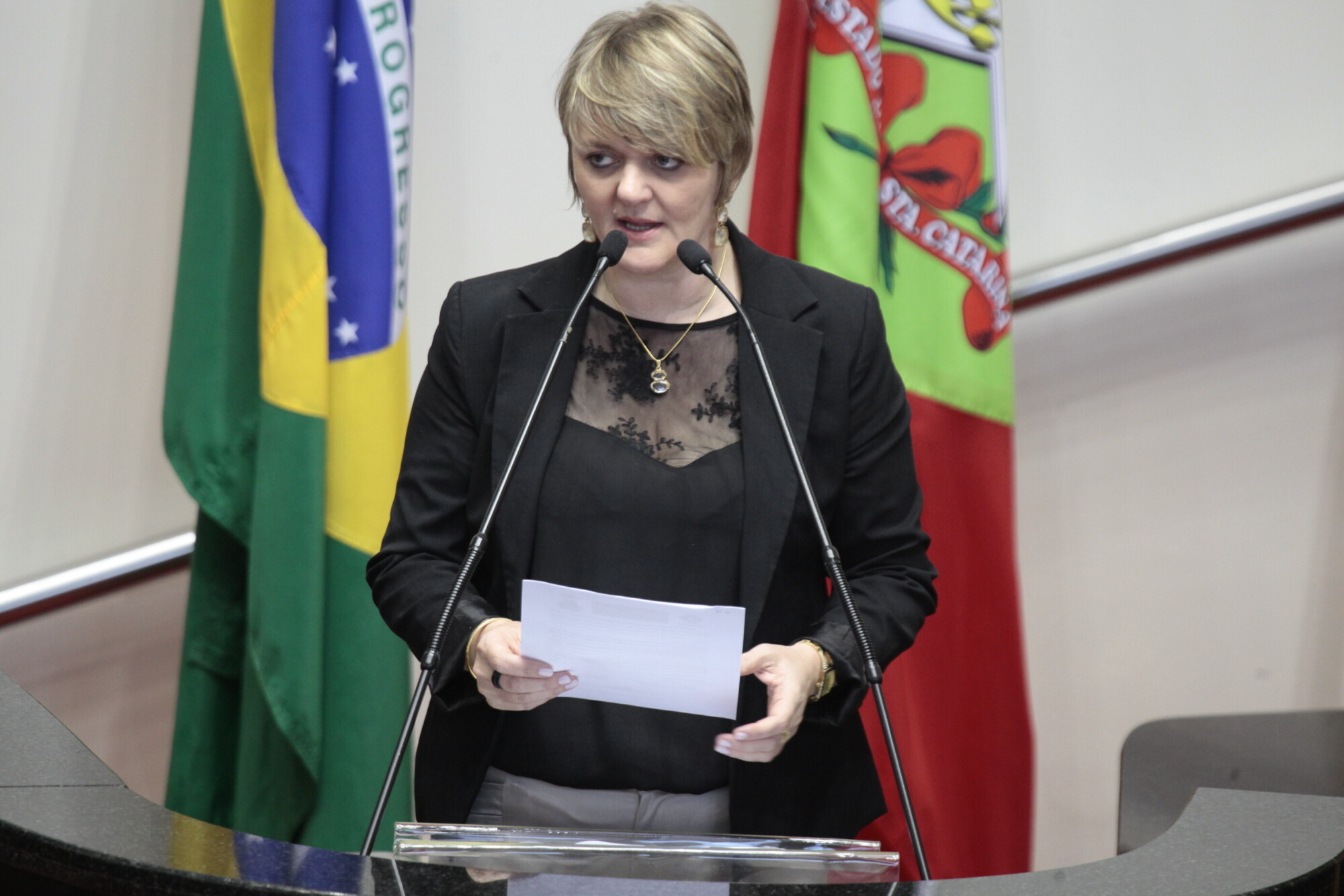 Deputada Luciane Carminatti