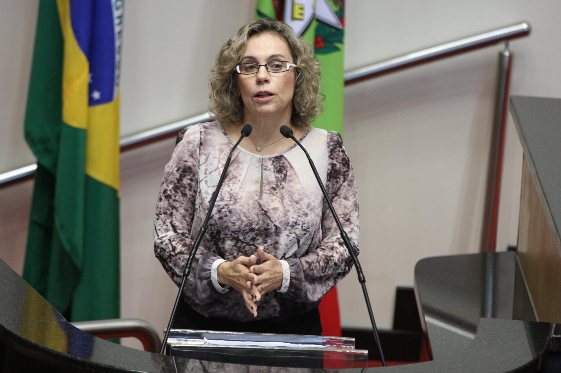 Deputada Ana Paula Lima