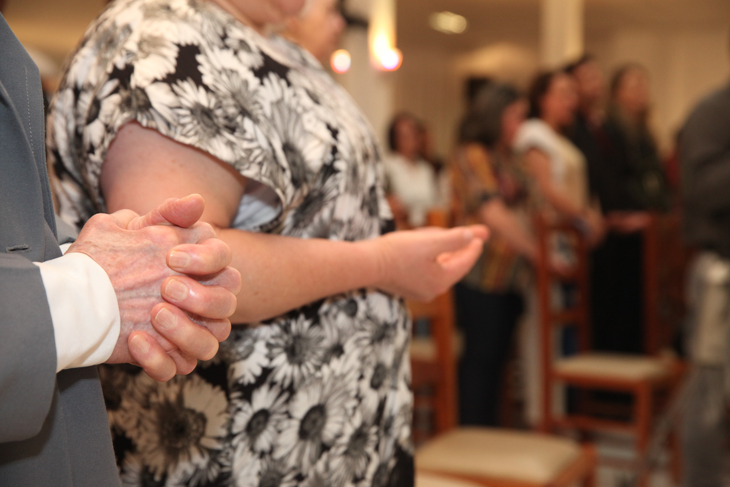 Sessão Especial em homenagem à passagem dos 100 anos do Hospital Nossa Senhora dos Prazeres em Lages. Foto: Fábio Queiroz / Agência AL