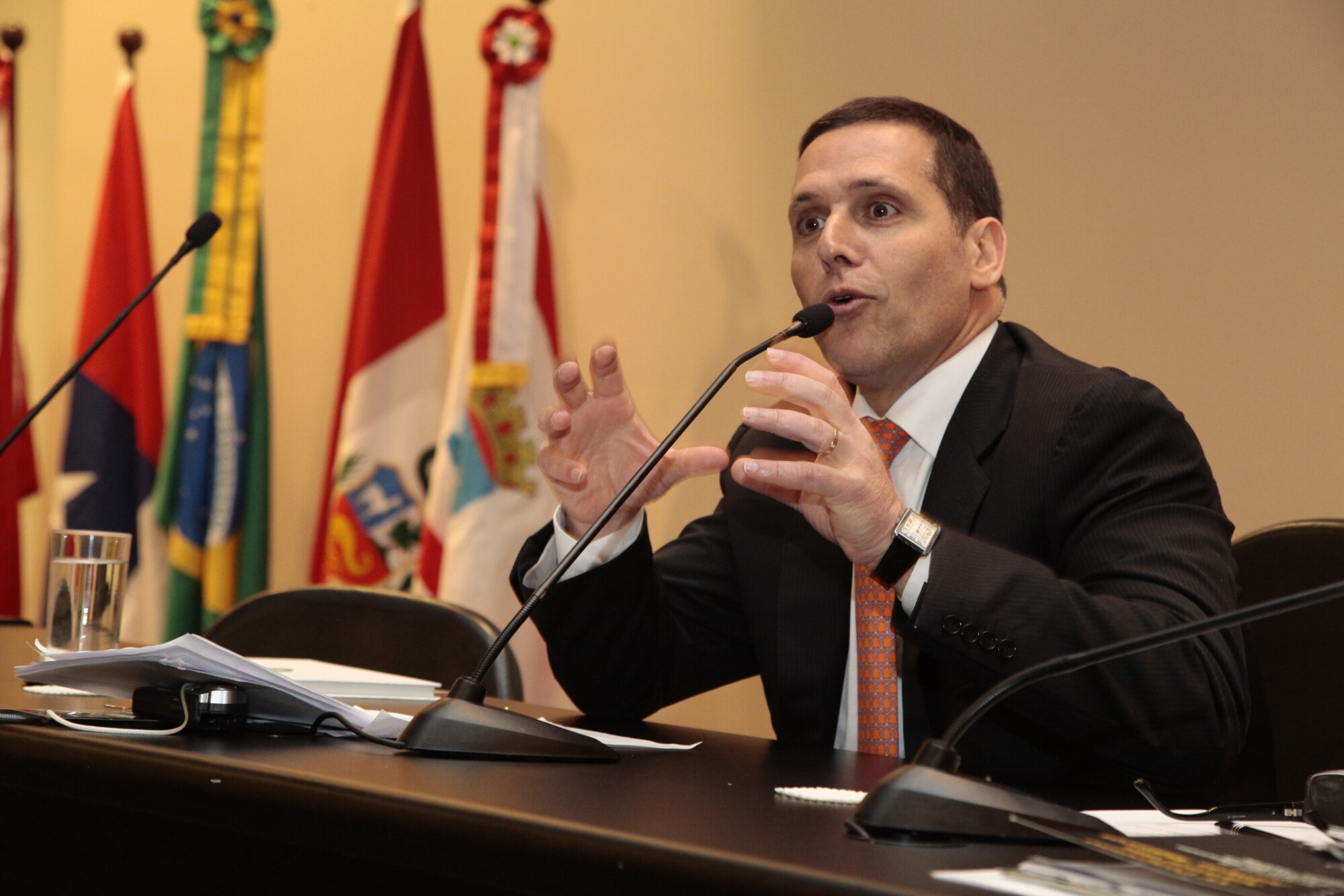 Fernando Capez, professor de Direito Penal e presidente da Assembleia Legislativa do Estado de São Paulo
