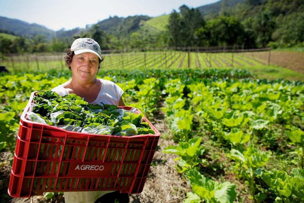 Os desafios da agricultura familiar na produção de alimentos FOTO: Arquivo/Fetaesc