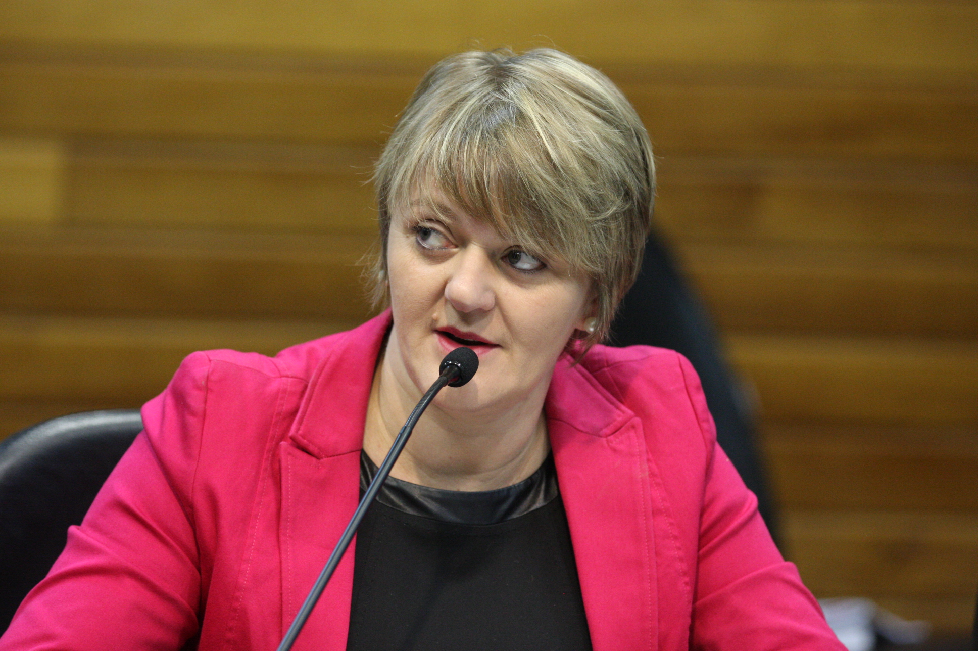 Comissão de Constituição e Justiça. Deputada Luciane Carminatti (PT). Foto: Yuri Santos / Agência AL