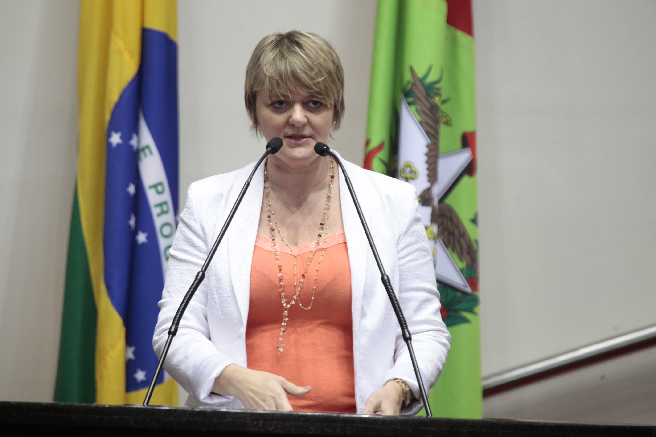 Sessão Ordinária da Assembleia Legislativa do Estado de Santa Catarina. Deputada Luciane Carminatti (PT)  - Foto: Miriam Zomer/Agência AL