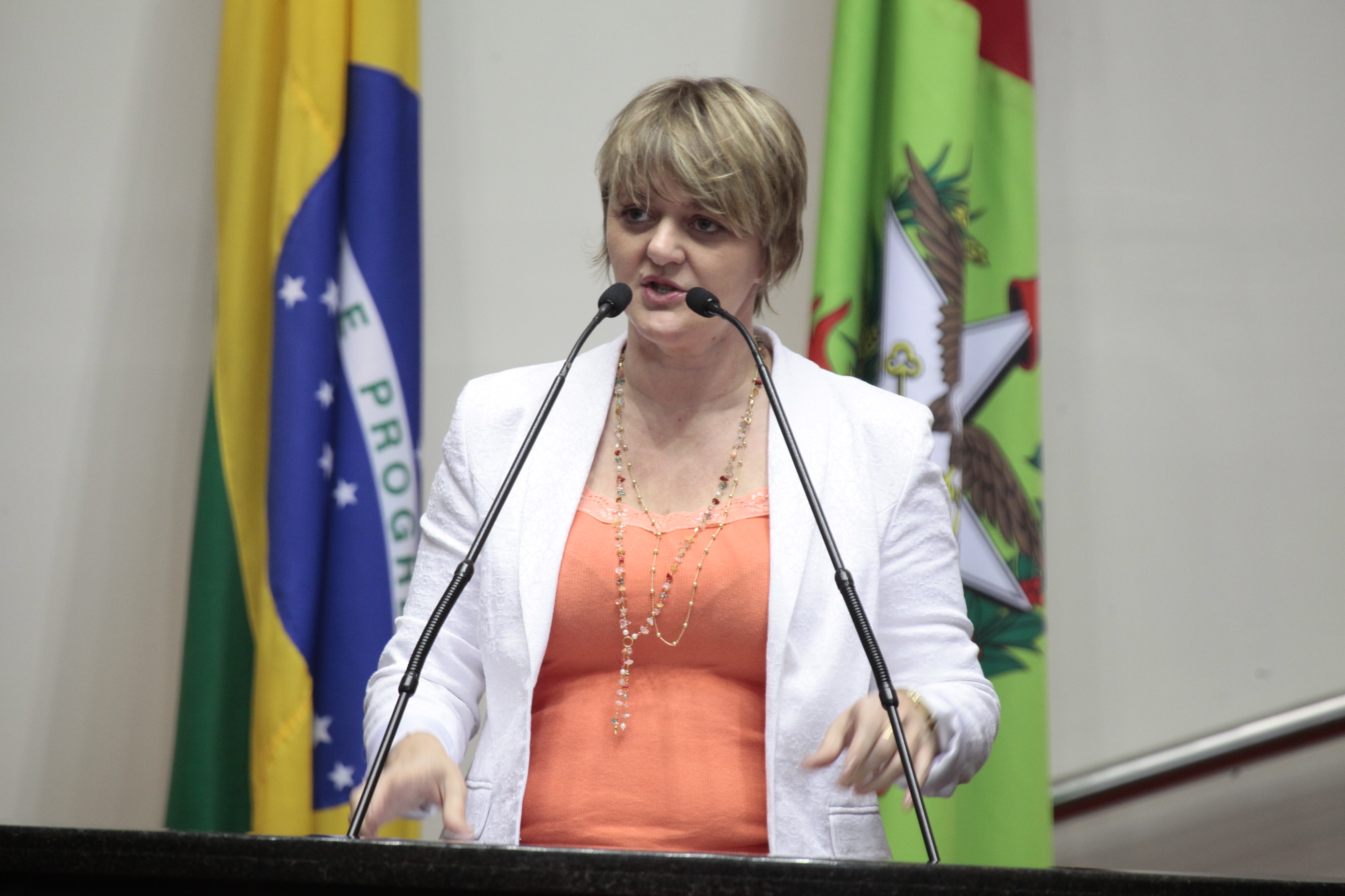 Sessão Ordinária da Assembleia Legislativa do Estado de Santa Catarina. Deputada Luciane Carminatti (PT)  - Foto: Miriam Zomer/Agência AL